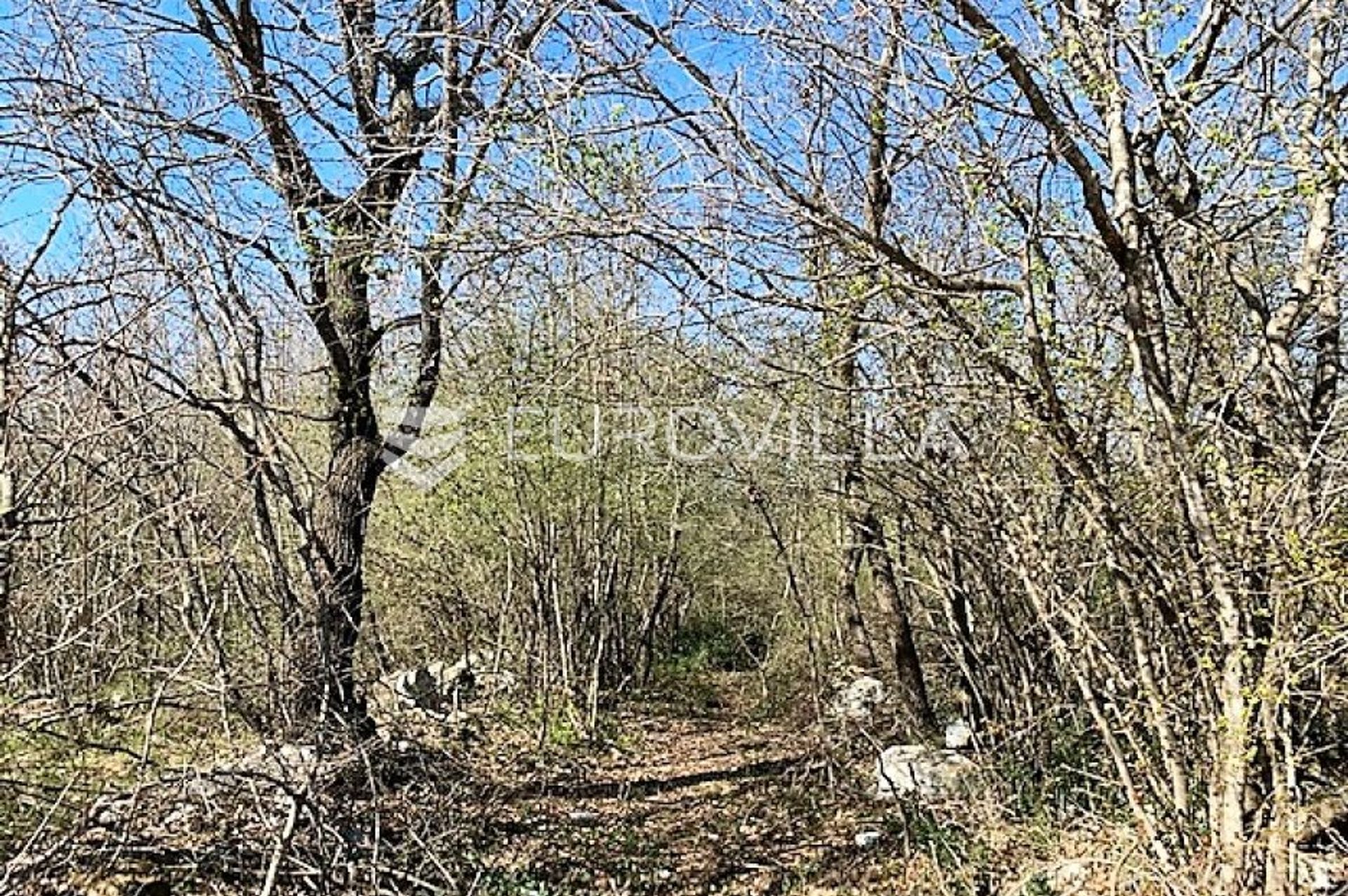 Land im Kosinožići, Istarska županija 10791901