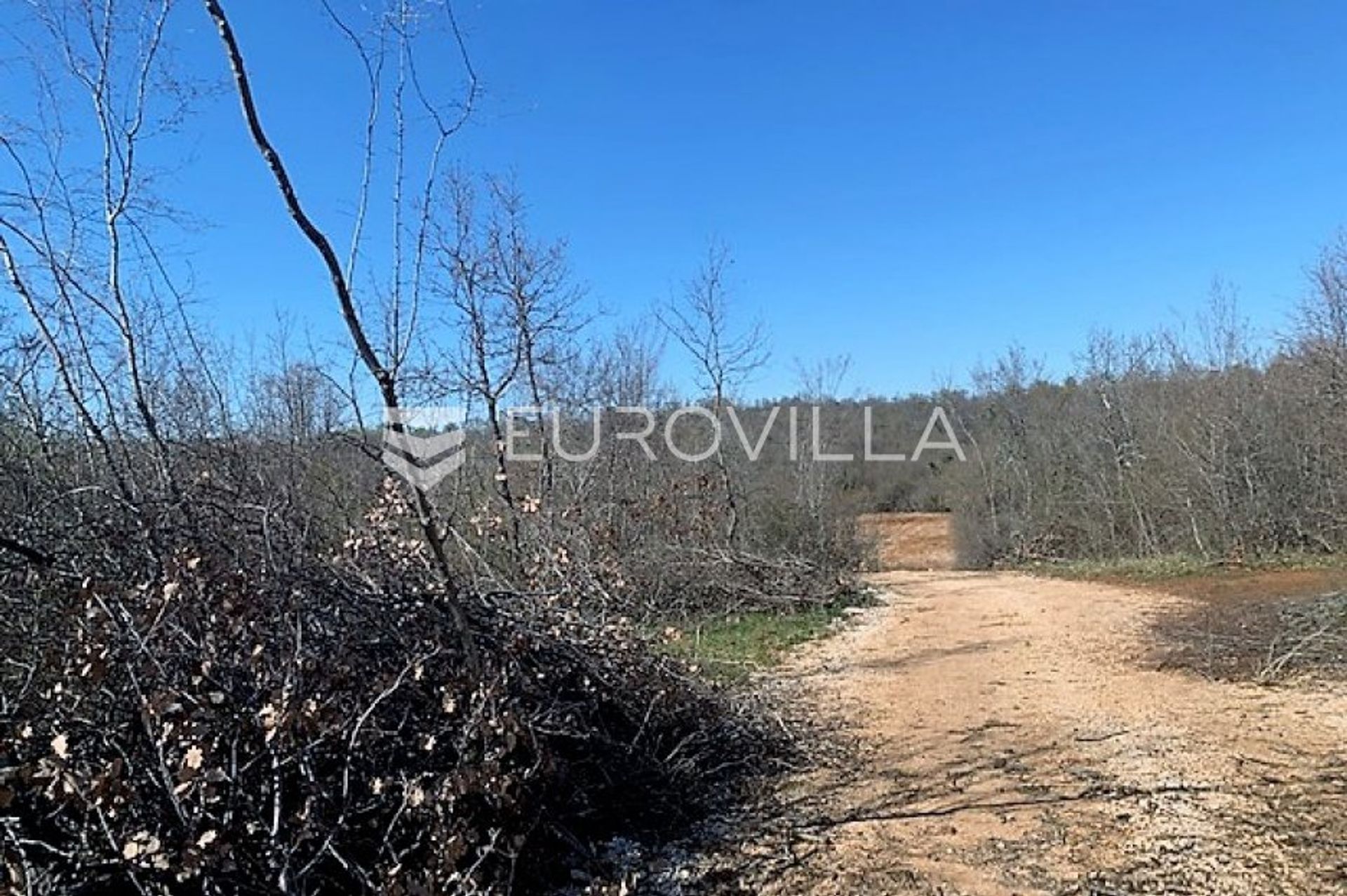 Tierra en Kosinožići, Istarska županija 10791901