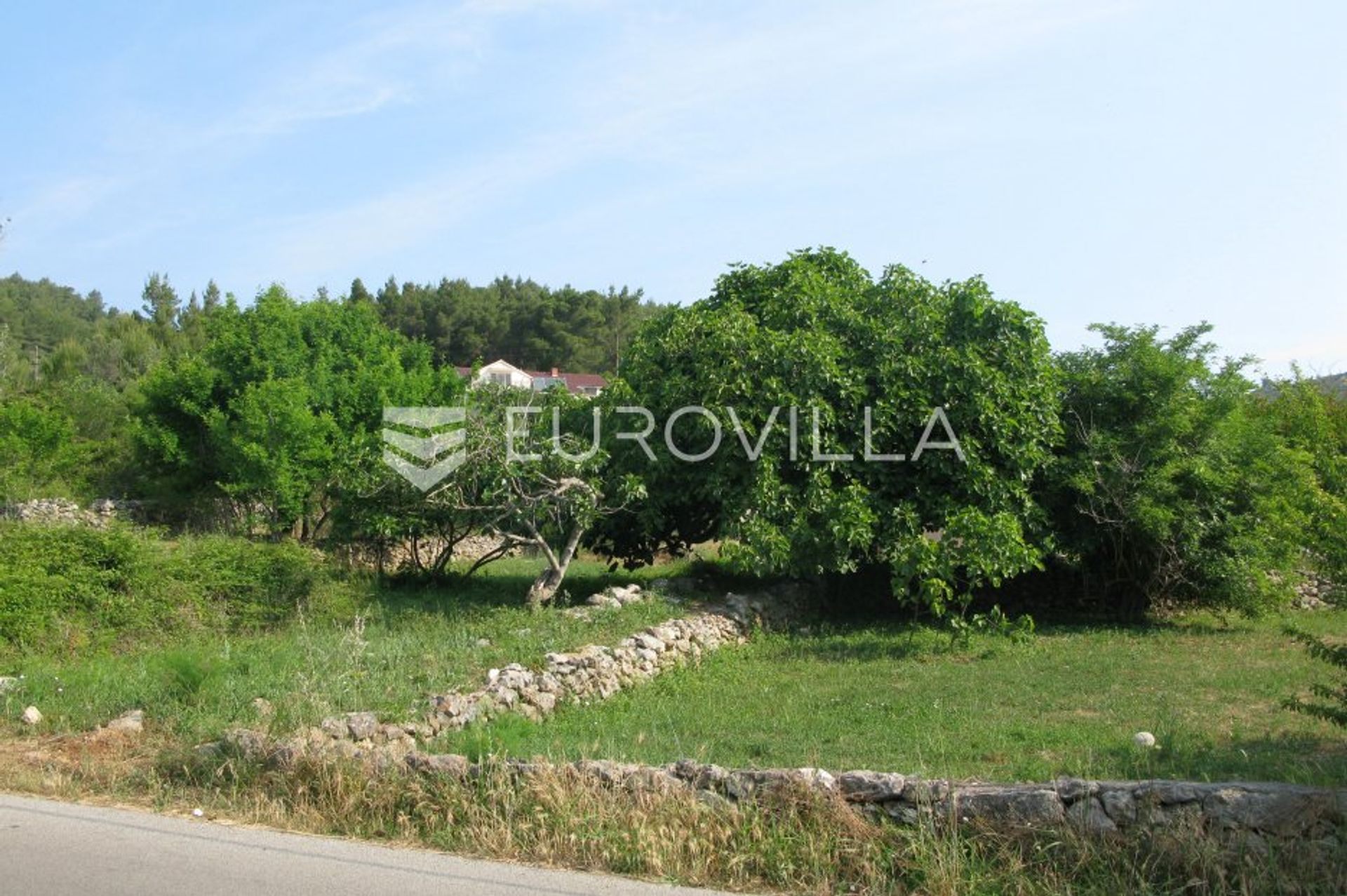 Land in Vela Luka, Dubrovacko-Neretvanska Zupanija 10792647