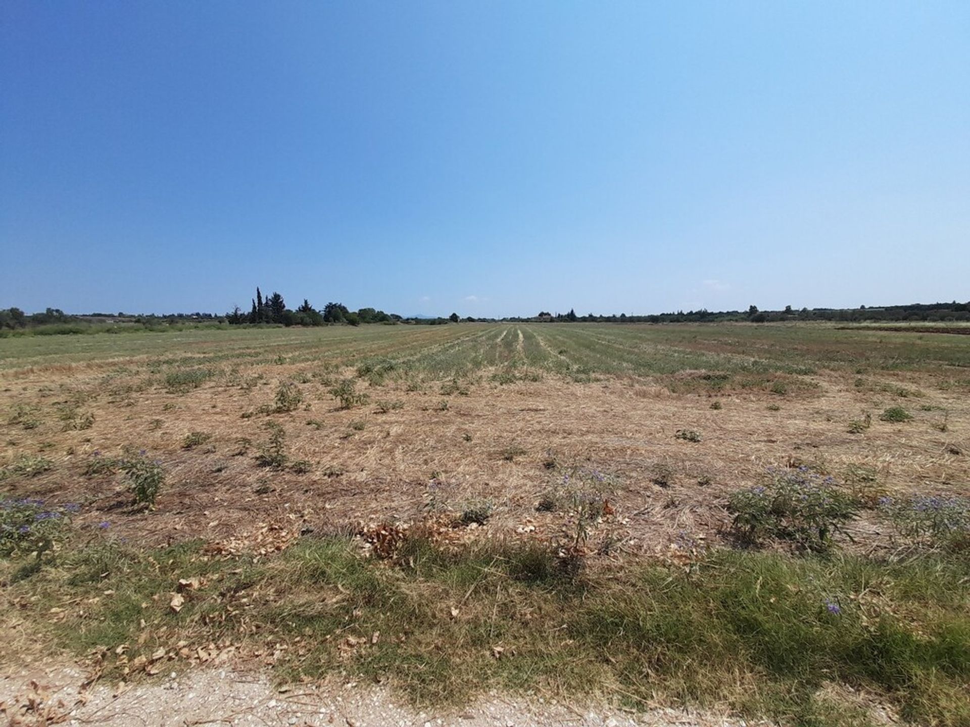 Land im Angelochorion, Kentriki Makedonia 10792956