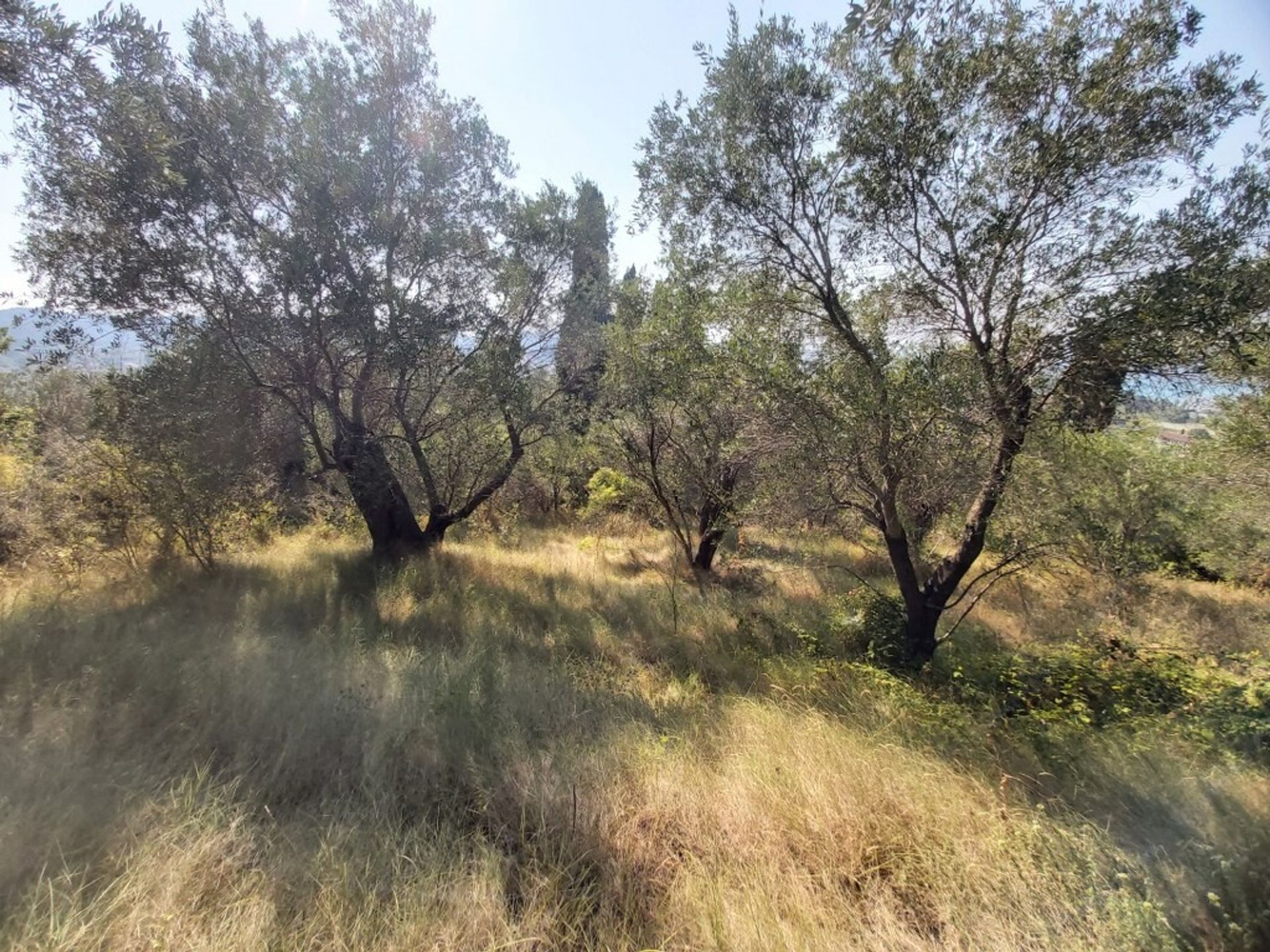 Land i Sidari, Ionia Nisia 10793008