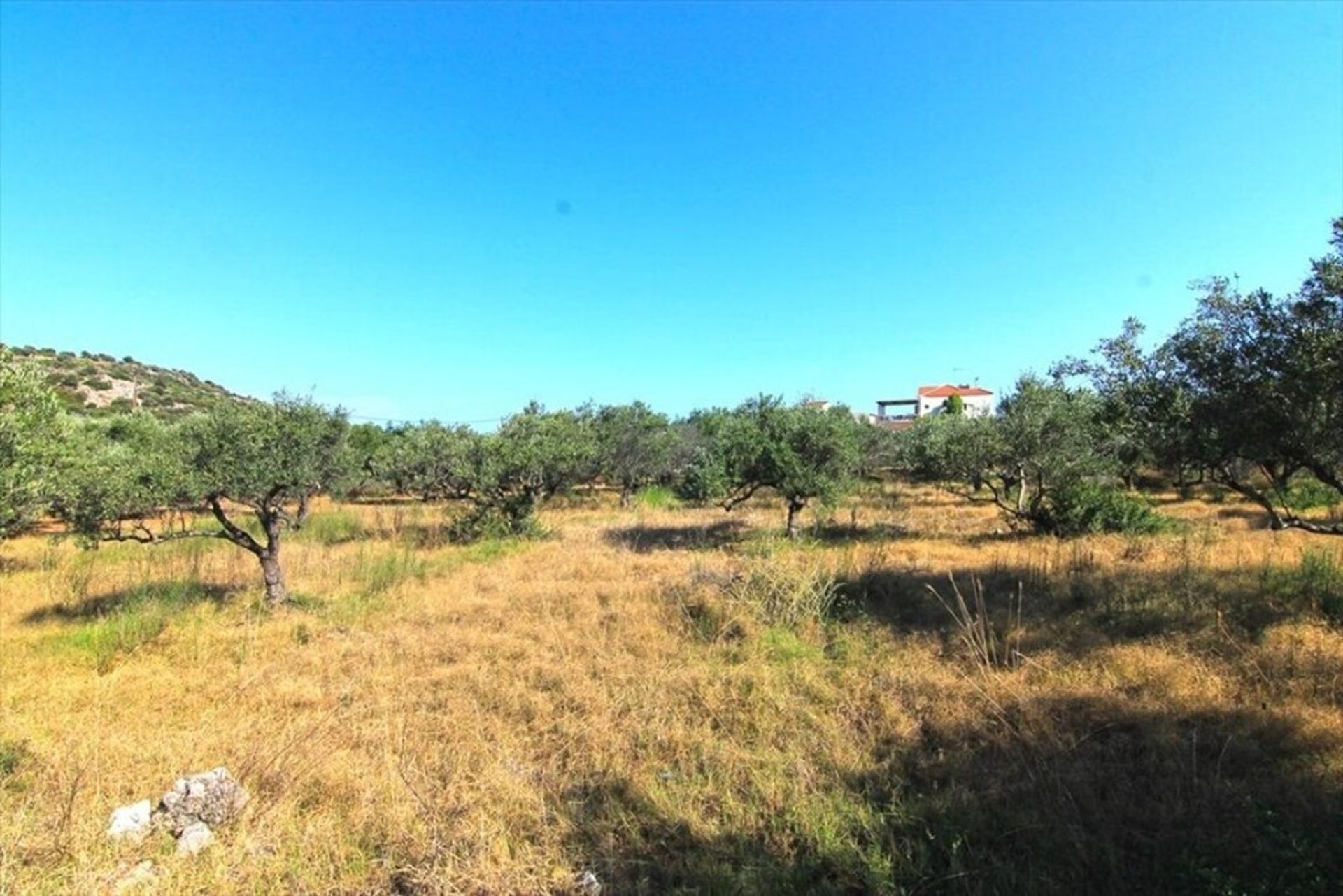 Land in Keratidia, Kriti 10793070