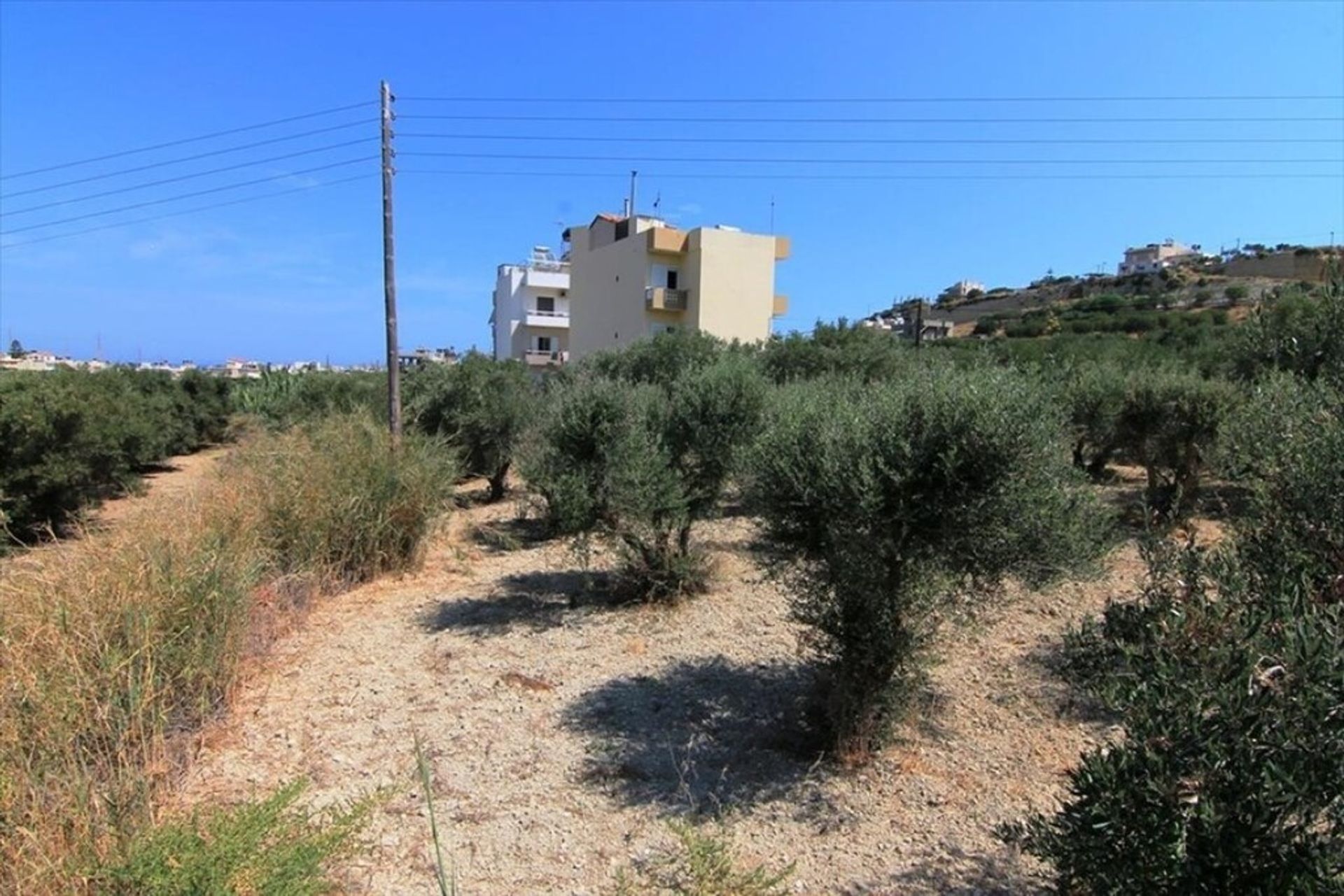 Land in Epano Vatheia, Kriti 10793074