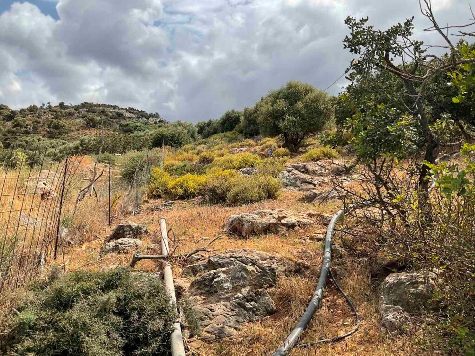 Land in Chersonissos, Kriti 10793375