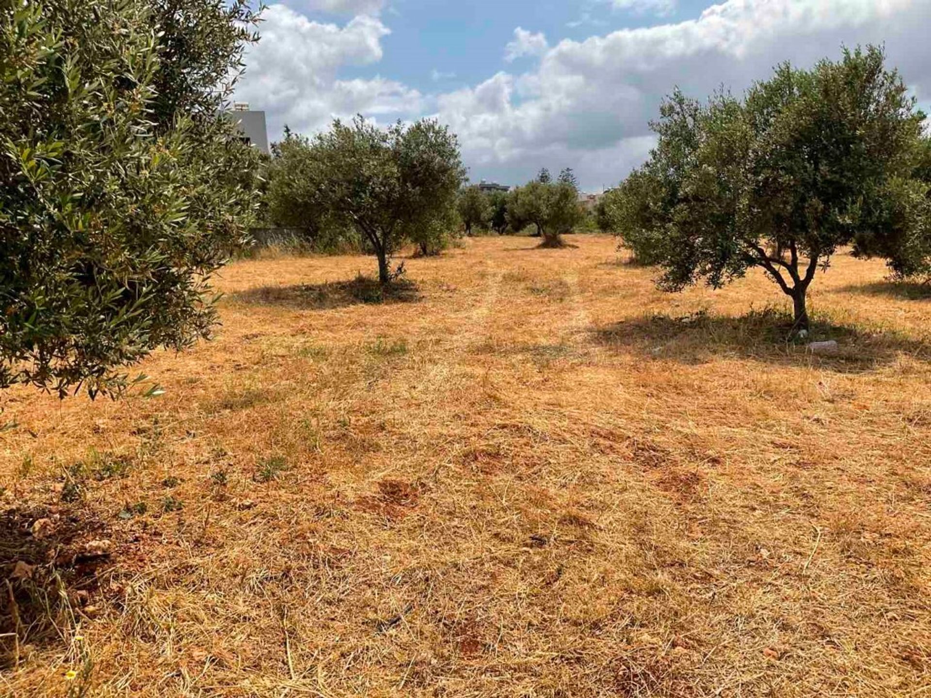 Γη σε Χερσόνησος, Κρήτης 10793376