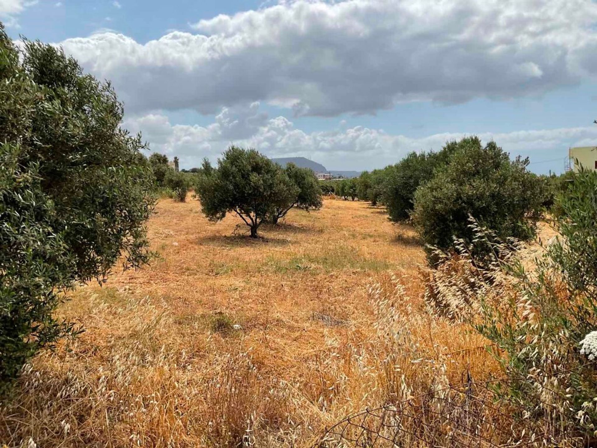 Γη σε Χερσόνησος, Κρήτης 10793376