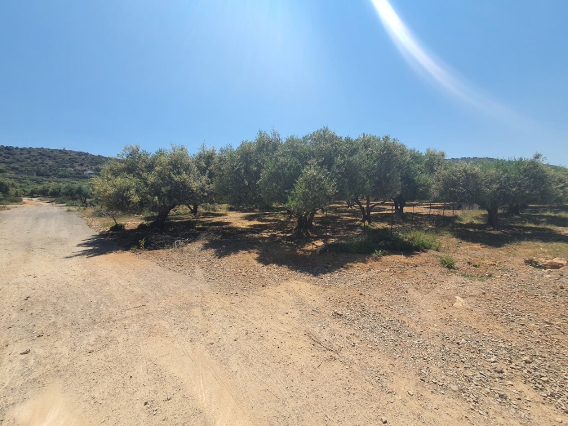 Land in Piskopiano, Kriti 10793399