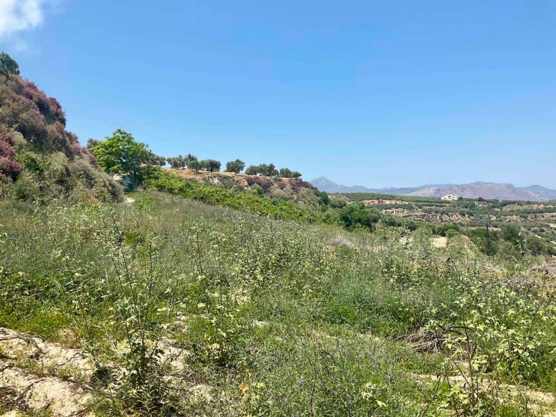 Tanah di Drakouliaris, Kriti 10793412