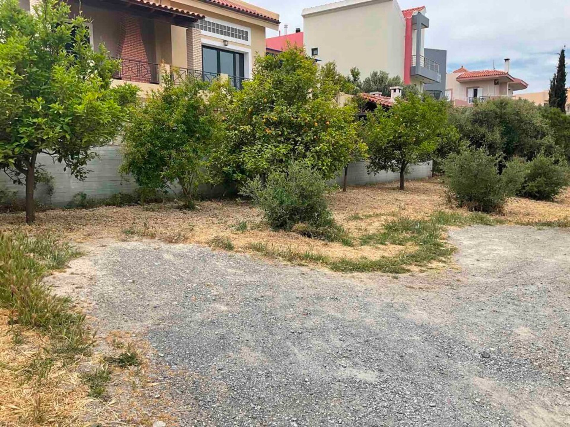 Tierra en Episkopi, criti 10793428