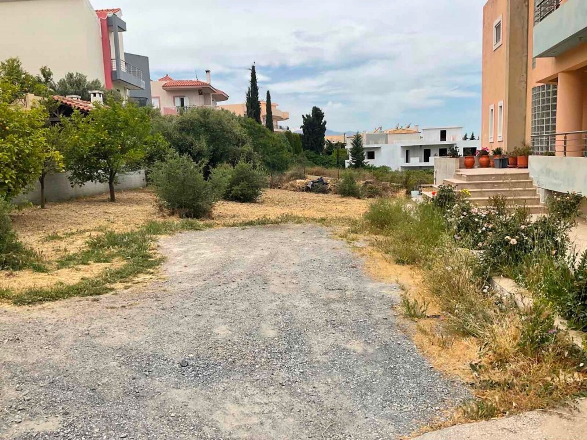 Tierra en Episkopi, criti 10793428