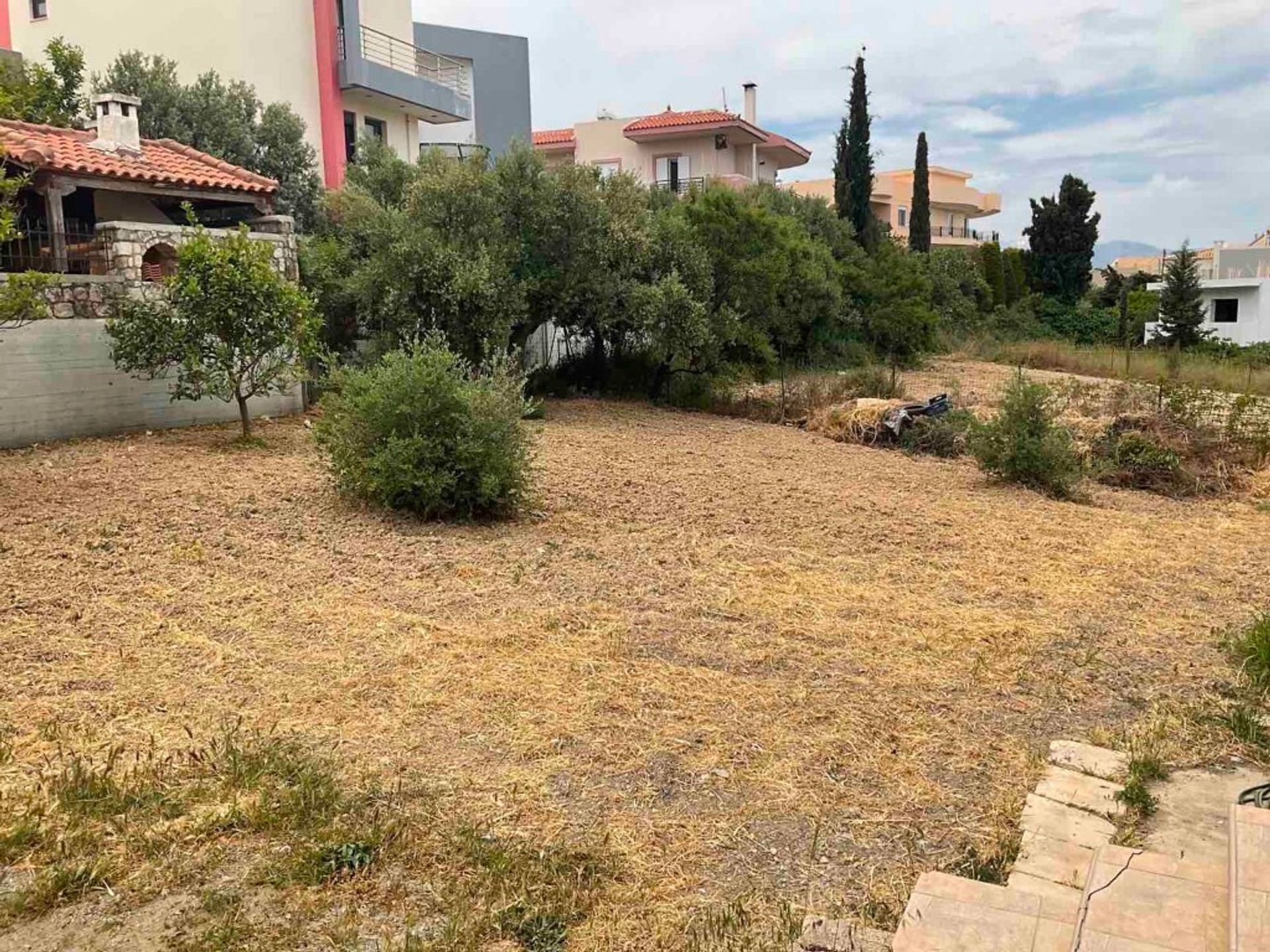 Tierra en Episkopi, criti 10793428