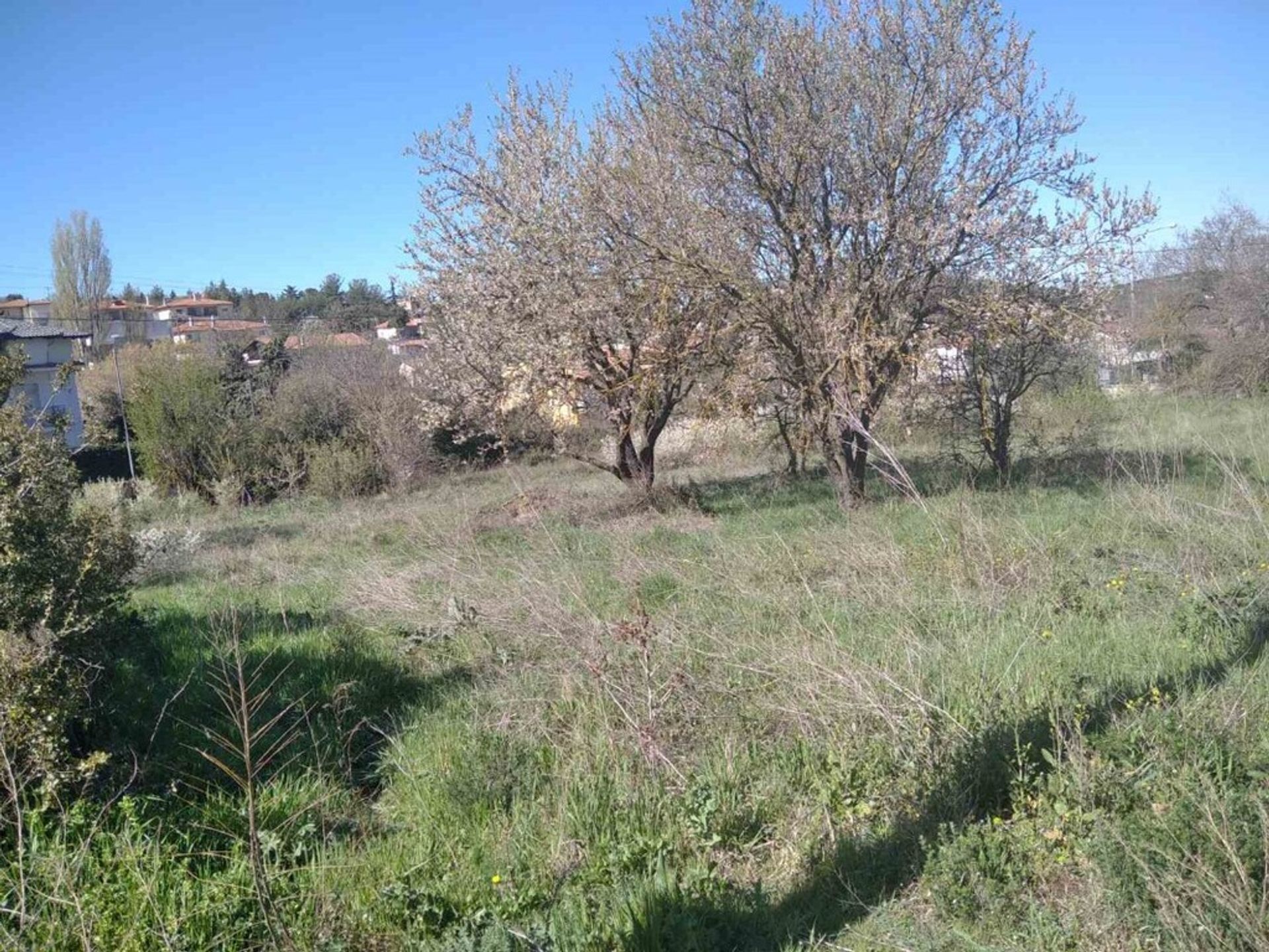 Land in Panorama, Kentriki Makedonia 10793608