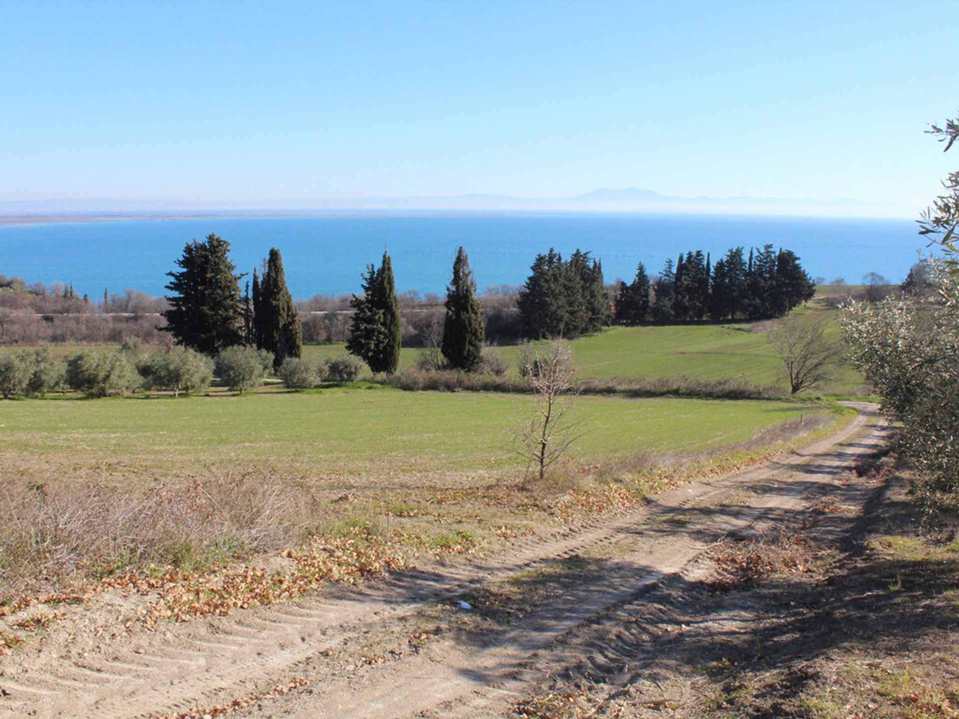 Land in Methoni, Kentriki Makedonia 10793834