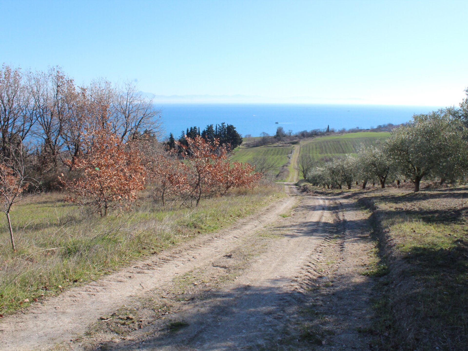 土地 在 Methoni, Kentriki Makedonia 10793834