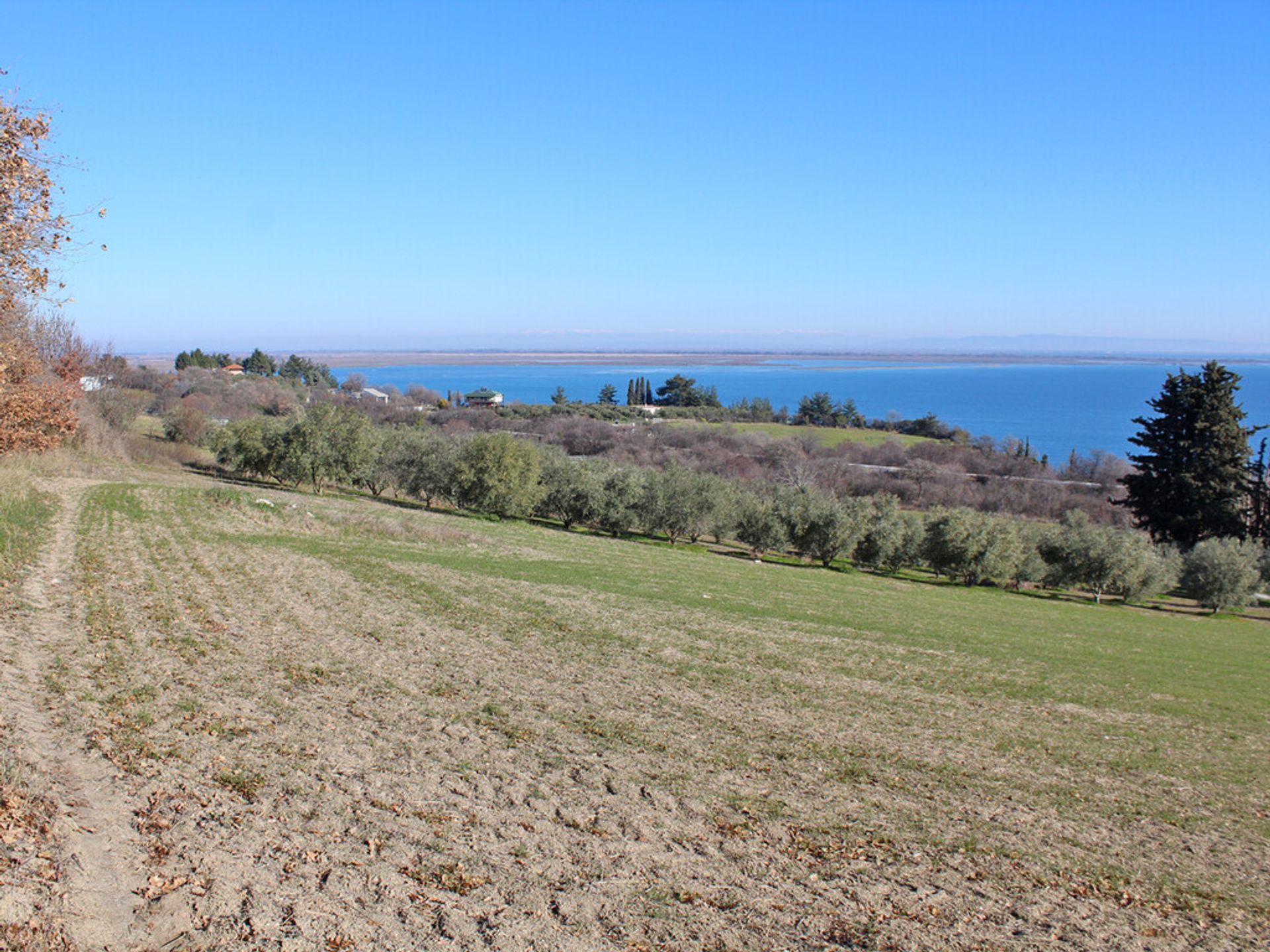 Land in Methoni, Kentriki Makedonia 10793835