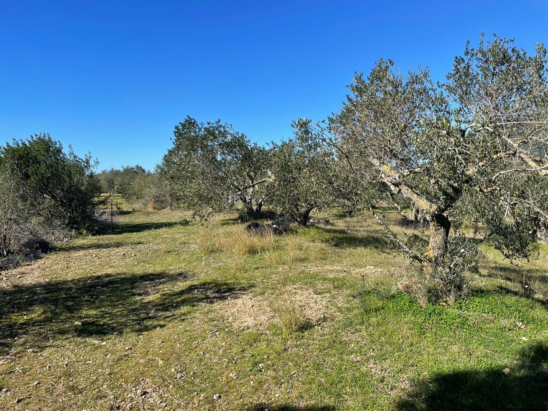 Land in Stavros, Ionië Nisia 10793861