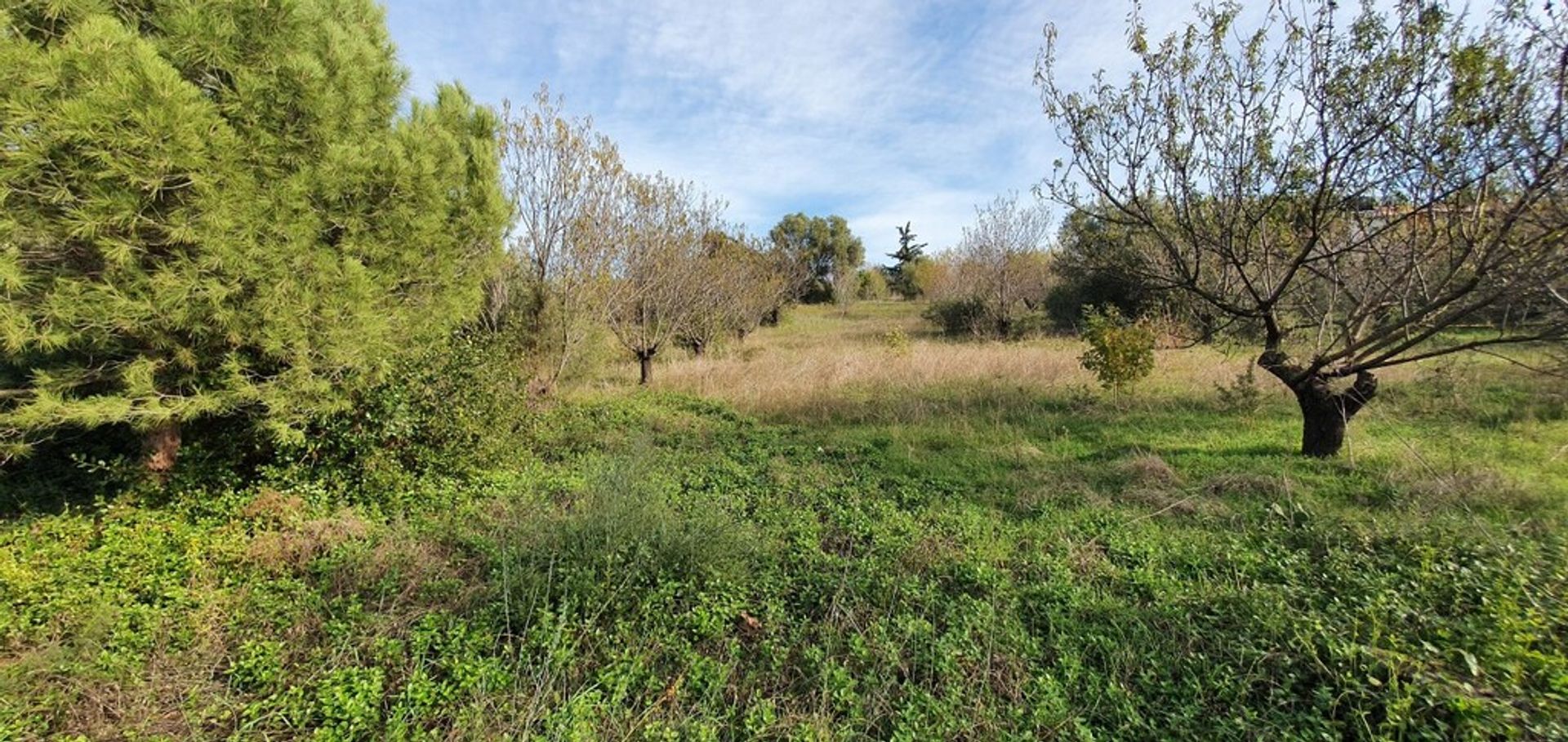 Γη σε Νέας Καλλικράτειας, Κεντρική Μακεδονία 10794053