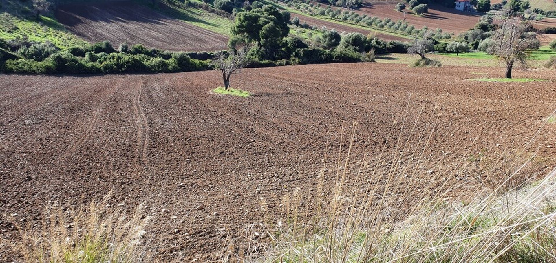 Wylądować w Neos Marmaras, Kentriki Makedonia 10794118