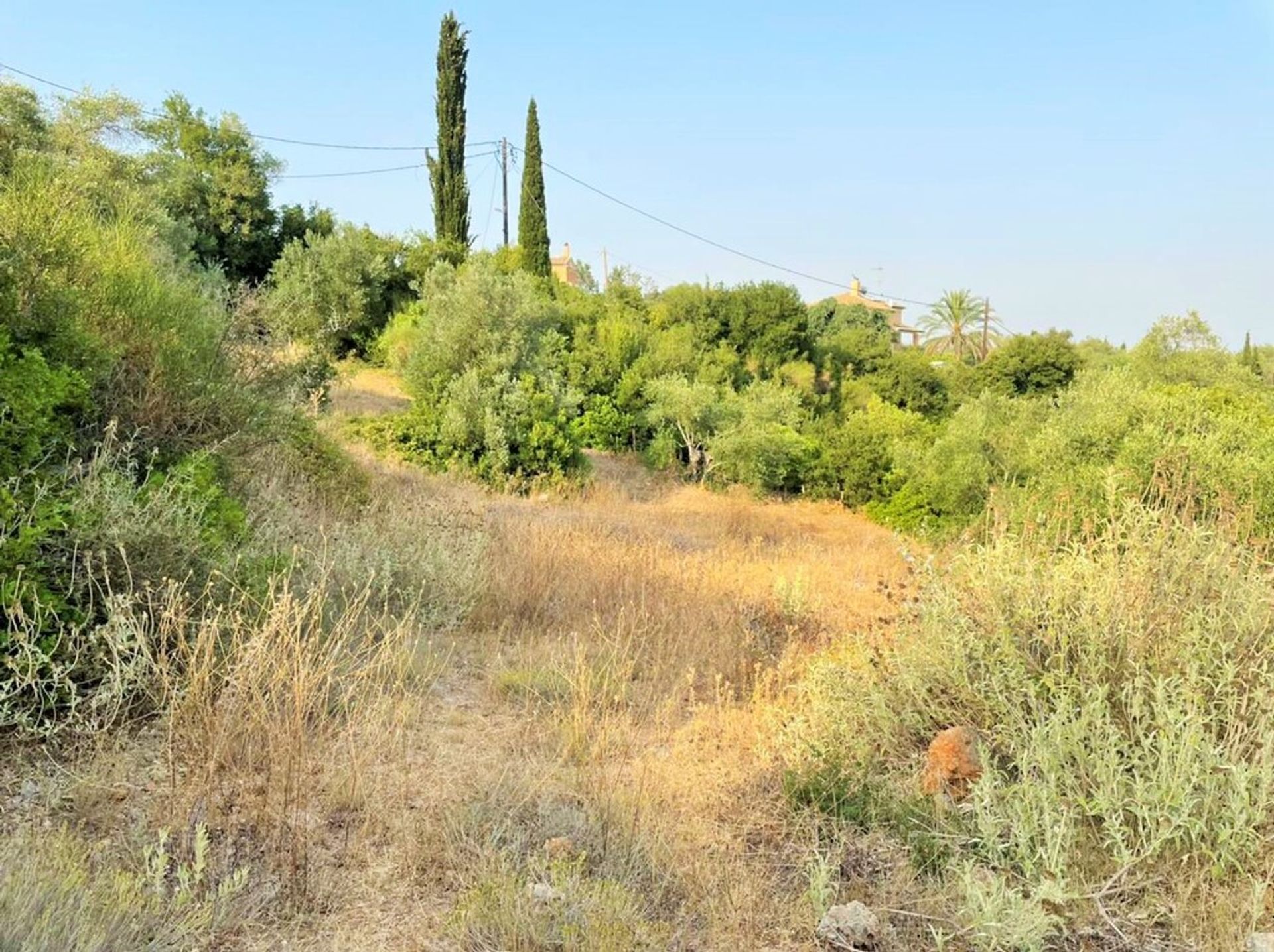 Tierra en Pelekas, Ionia Nisia 10794343