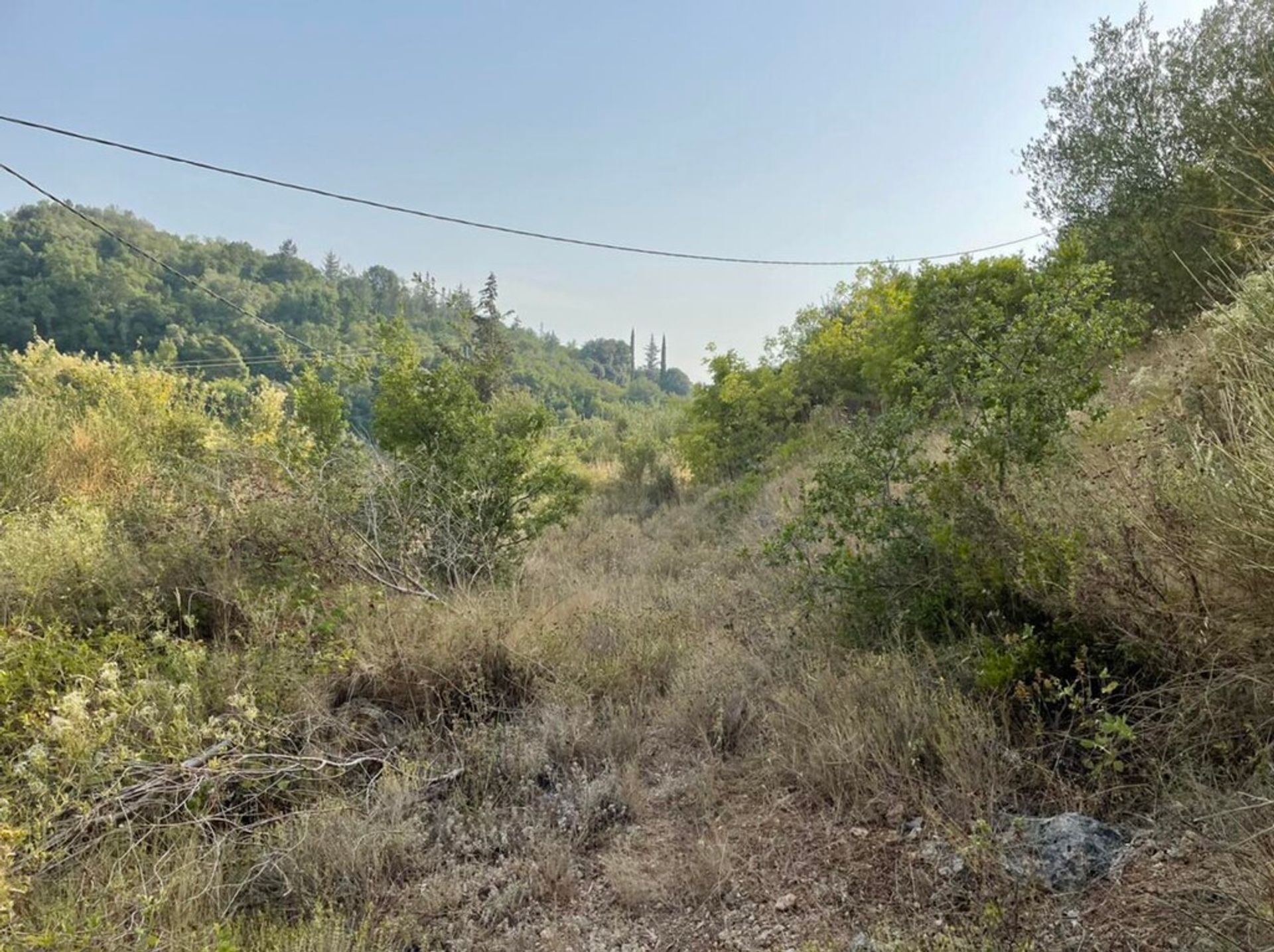 Land im Agia Triada,  10794343