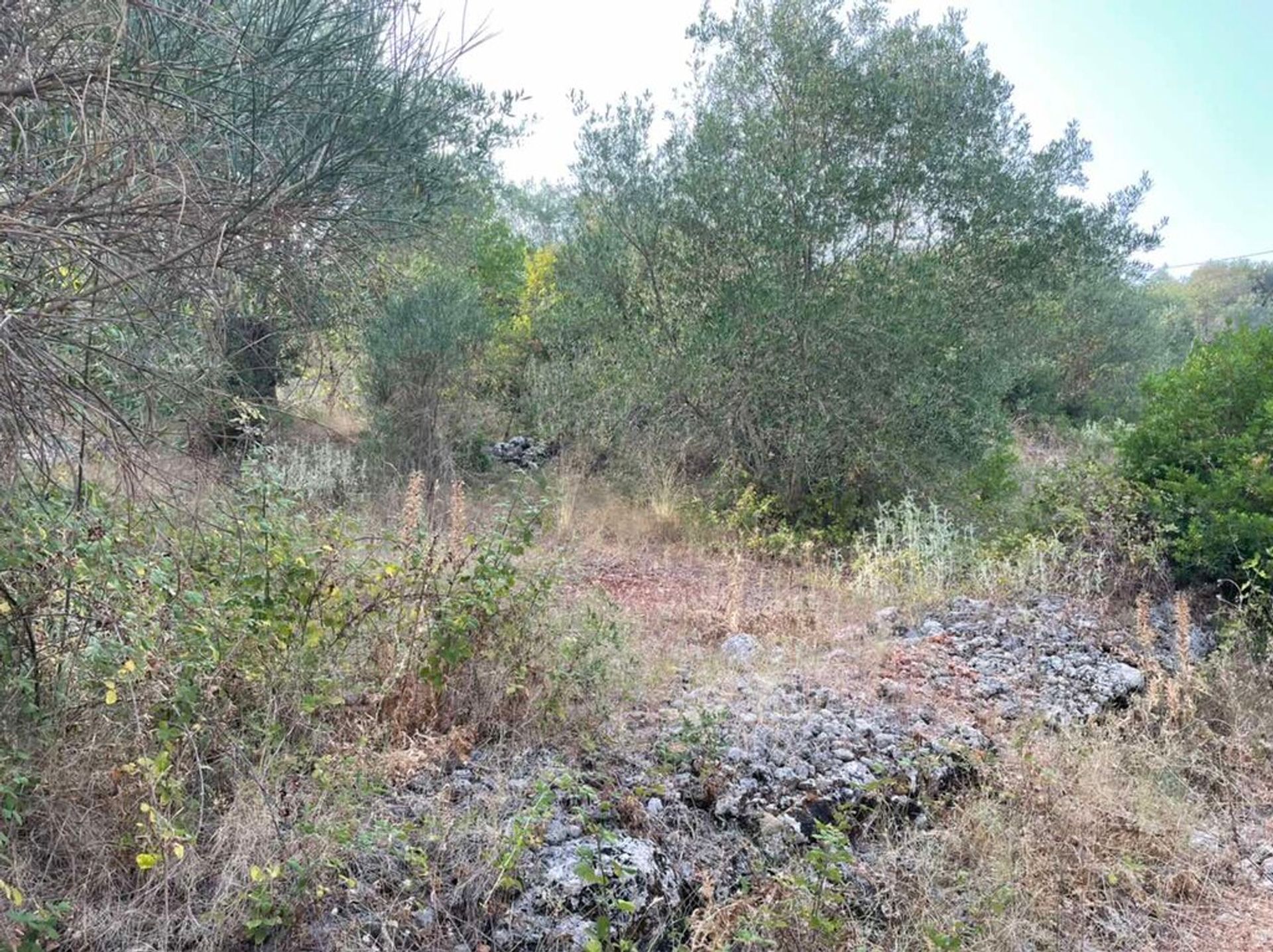 Land im Agia Triada,  10794343