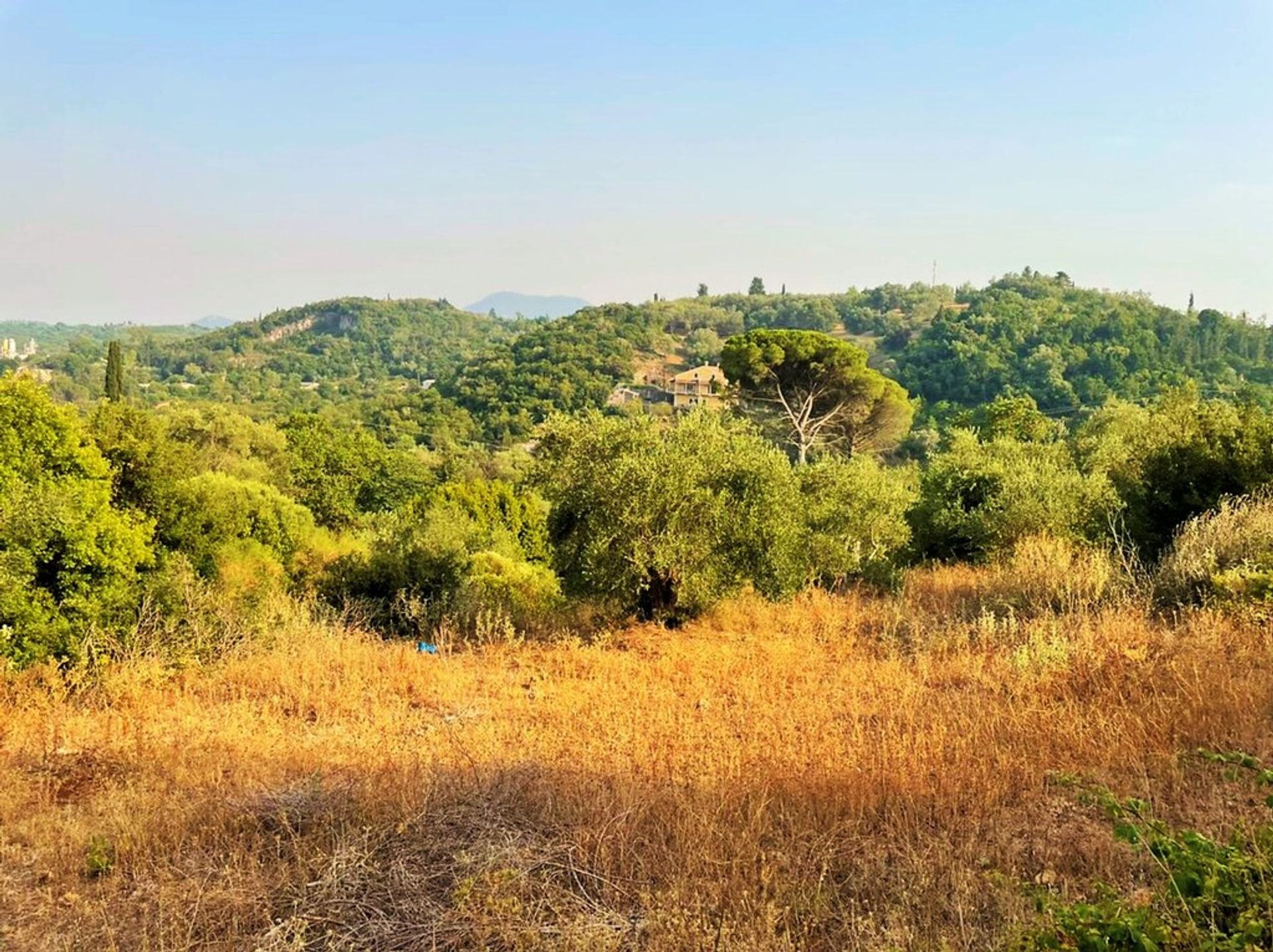 Tierra en Pelekas, Ionia Nisia 10794343