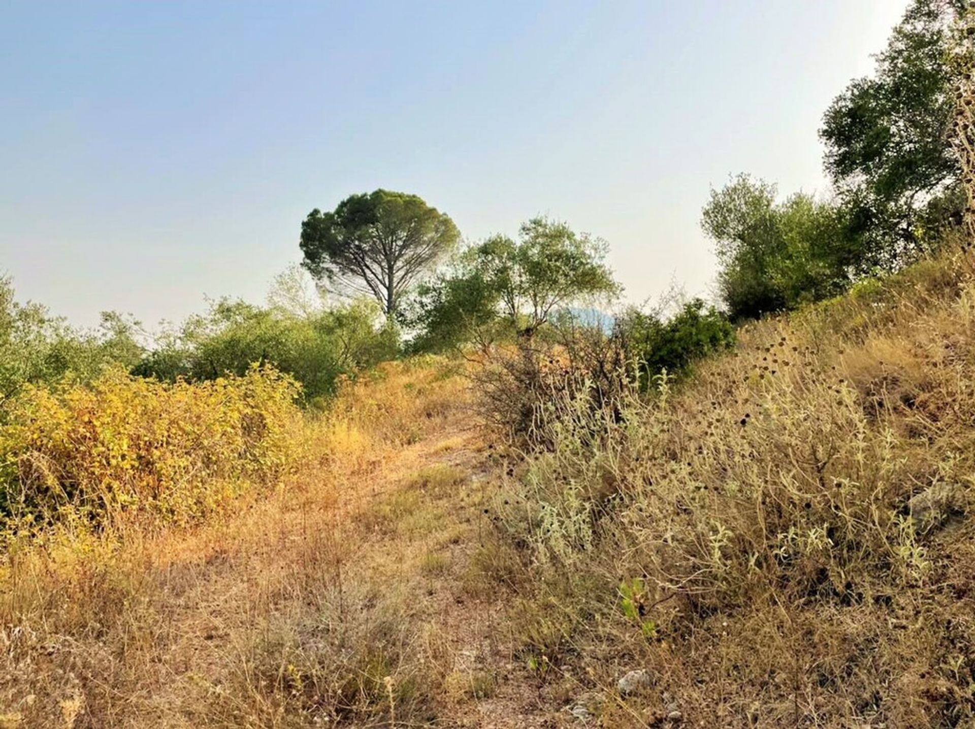 Tierra en Pelekas, Ionia Nisia 10794343