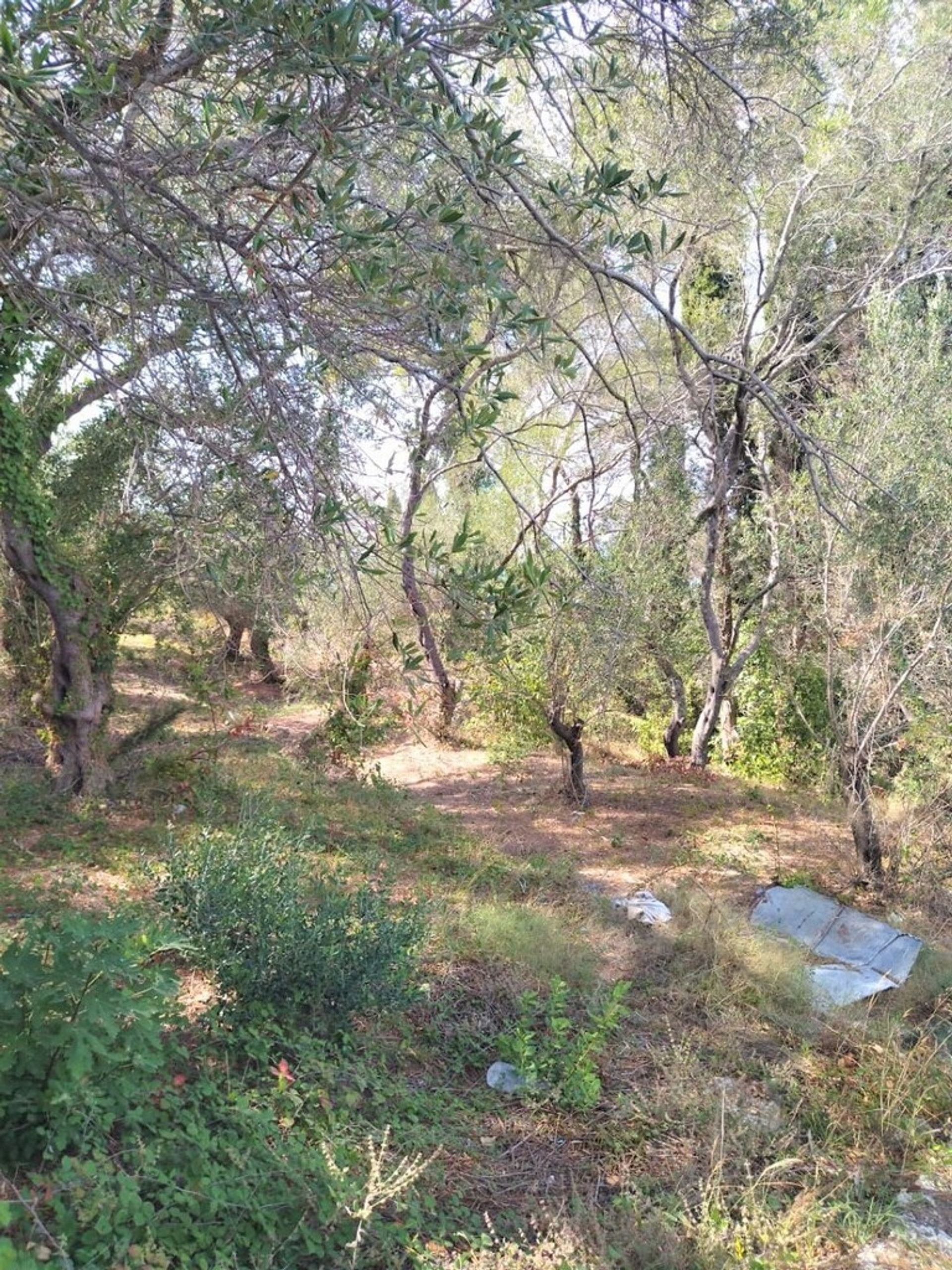 Land in Sinarades, Ionië Nisia 10794399