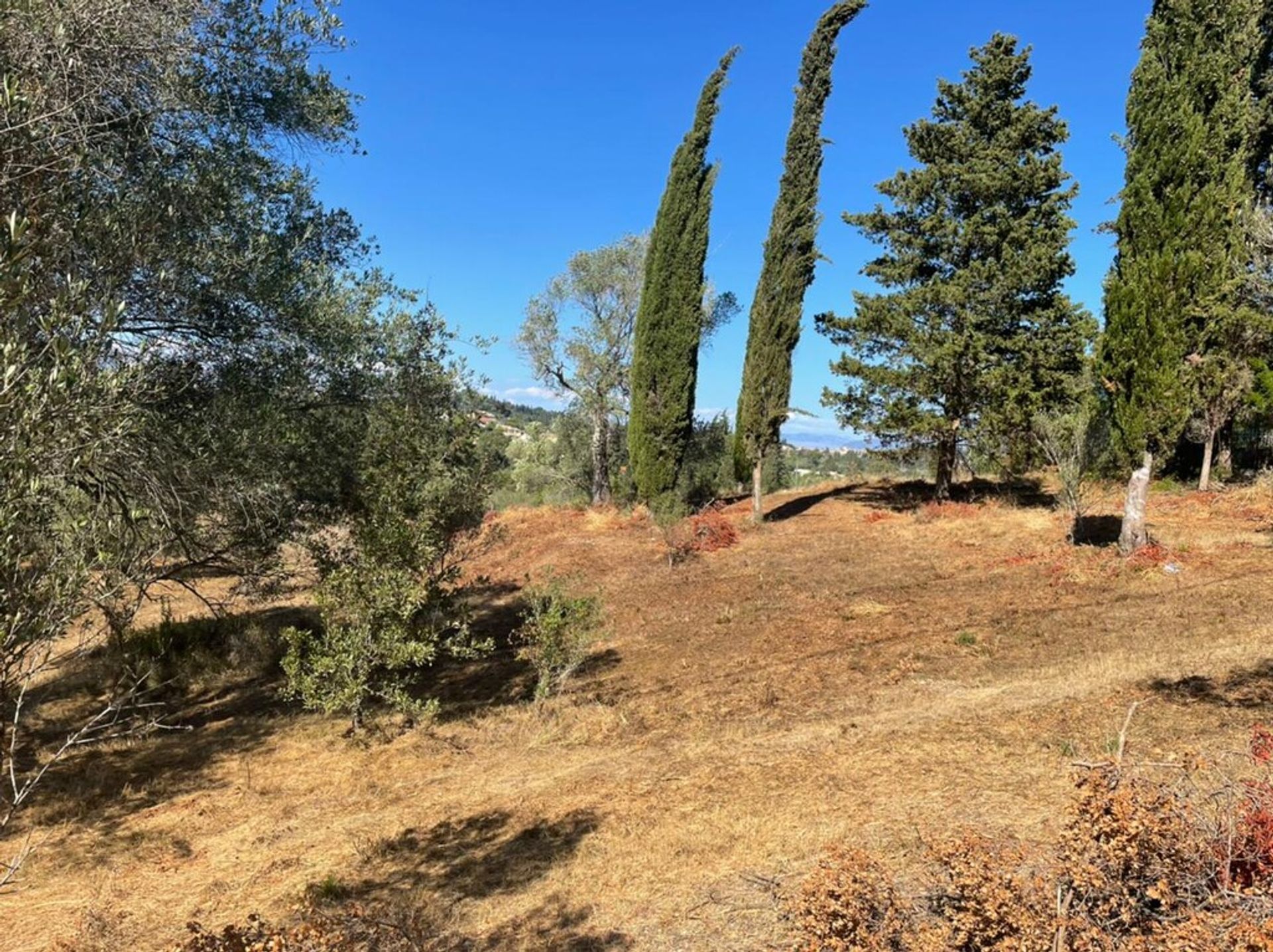 Land in Afra, Ionië Nisia 10794544