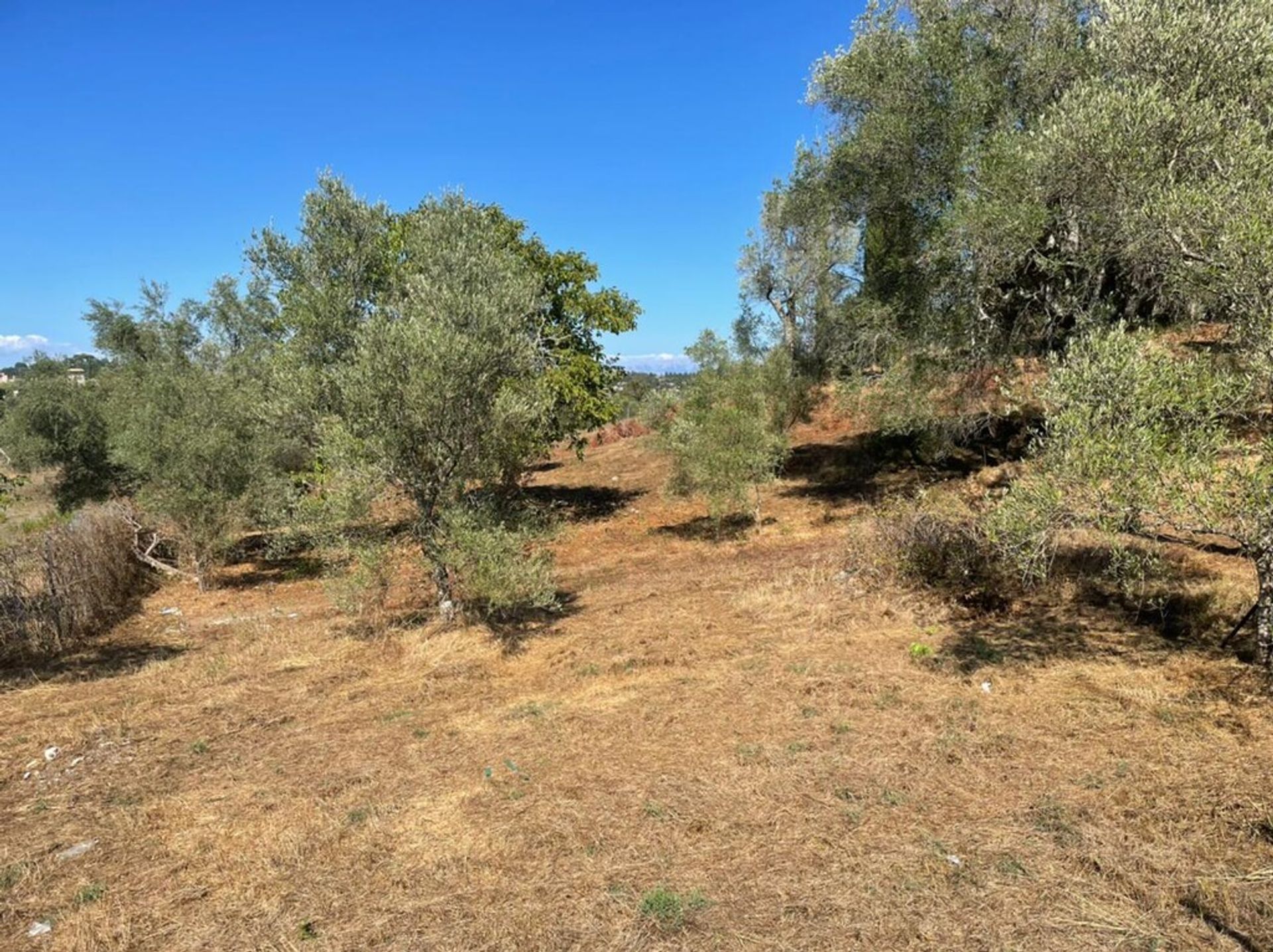 Land in Afra, Ionië Nisia 10794544