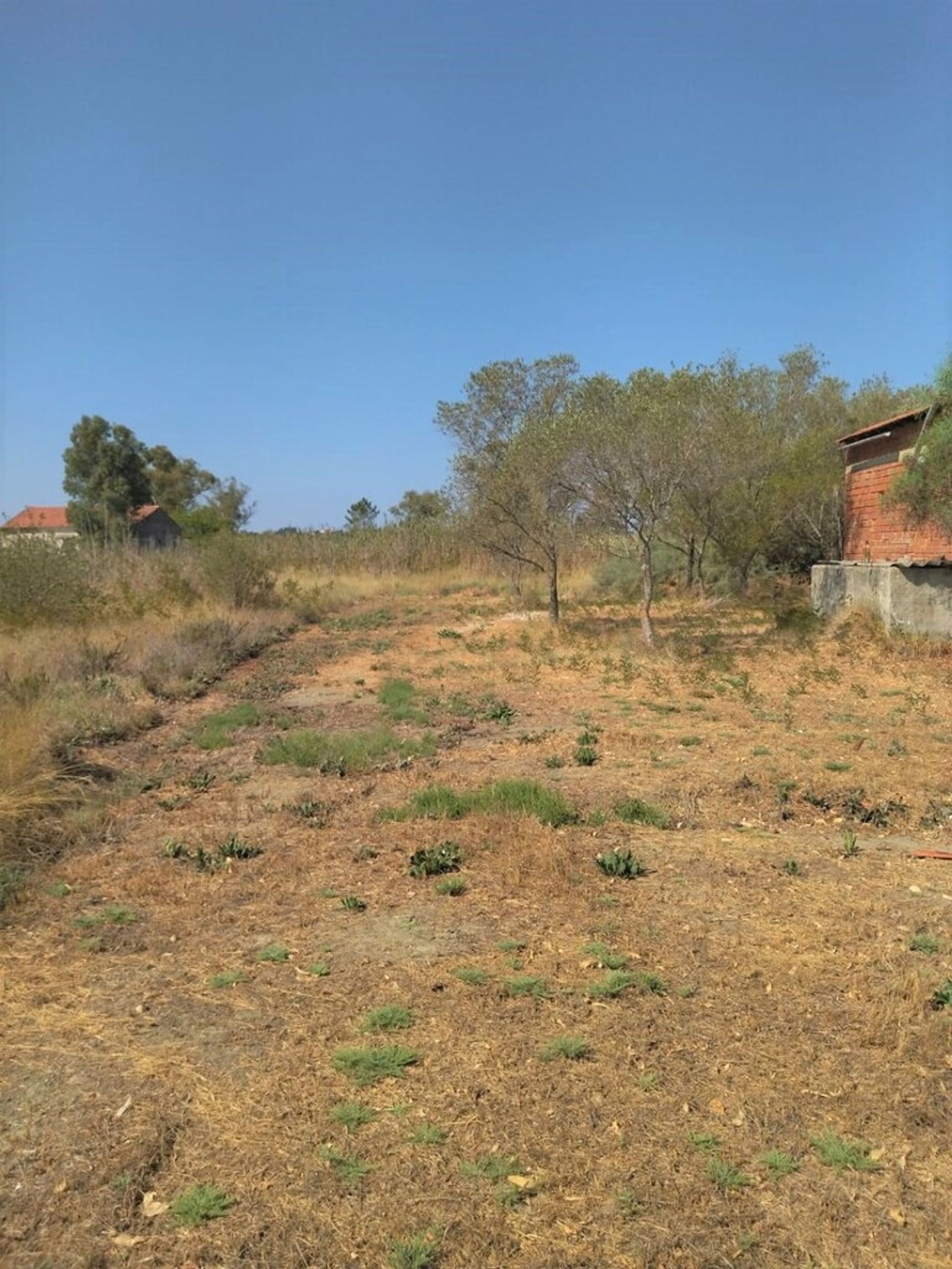 Land in Lefkimmi, Ionië Nisia 10794617