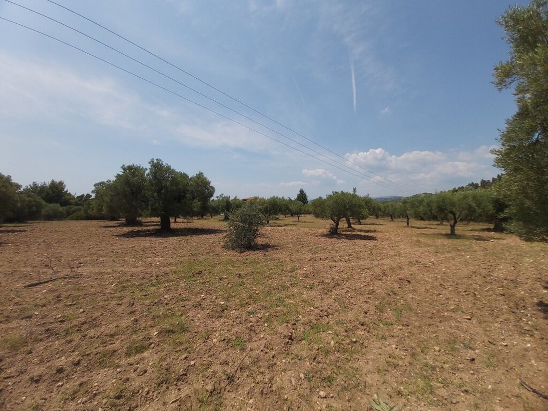 Terre dans Néos Marmaras, Kentriki Macédoine 10795132