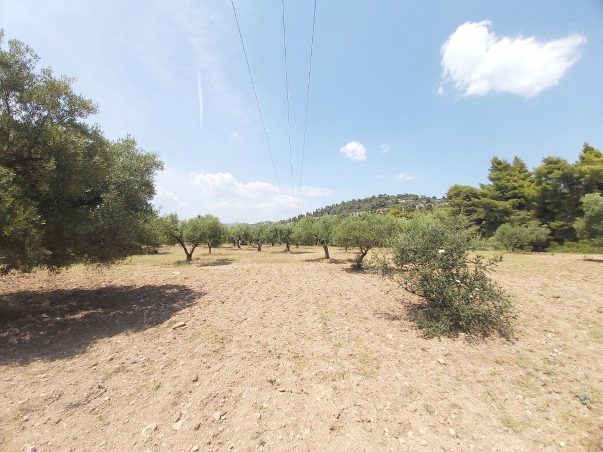 Land im Neos Marmaras, Kentriki Makedonia 10795132