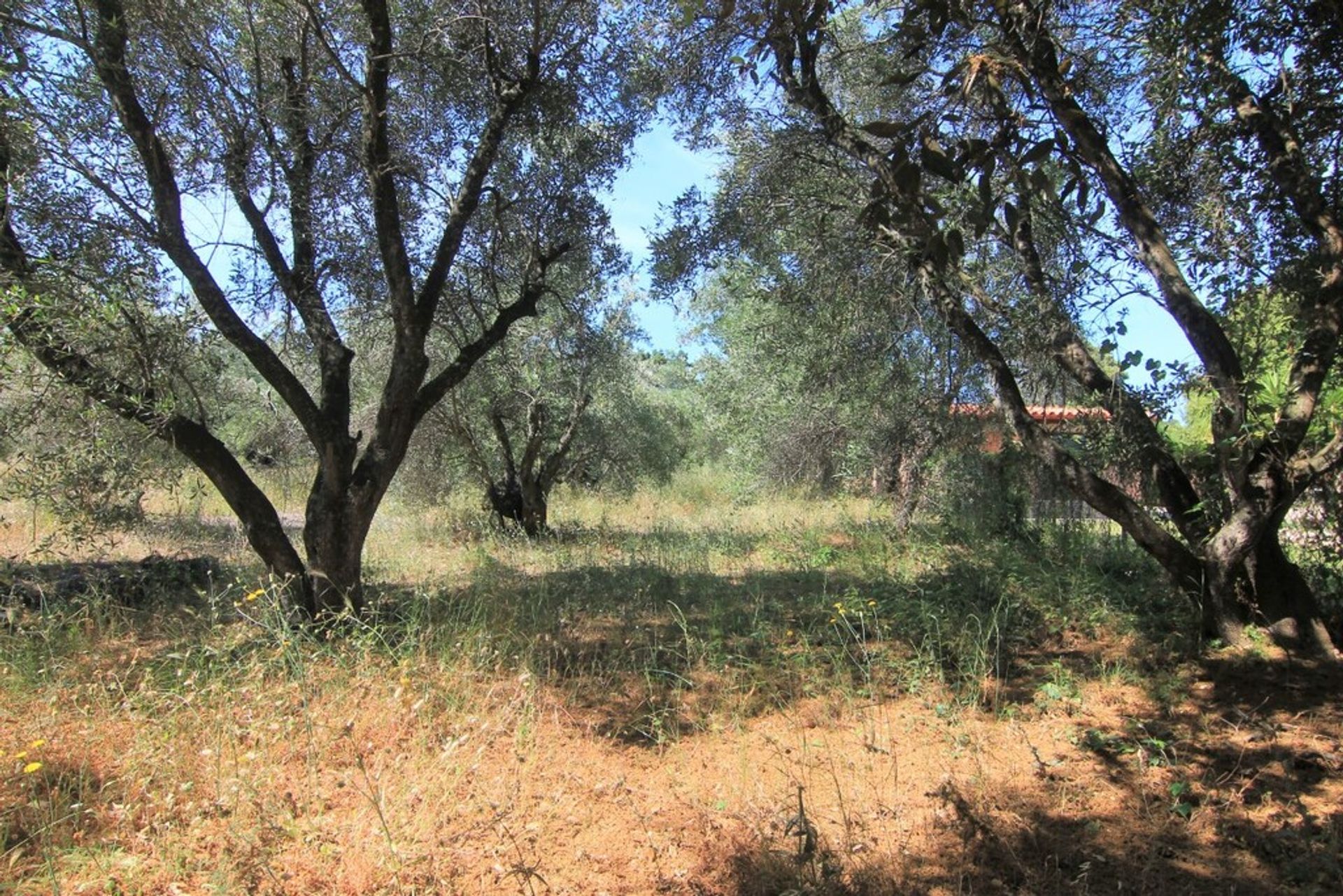 Land in Stavros, Ionië Nisia 10795258