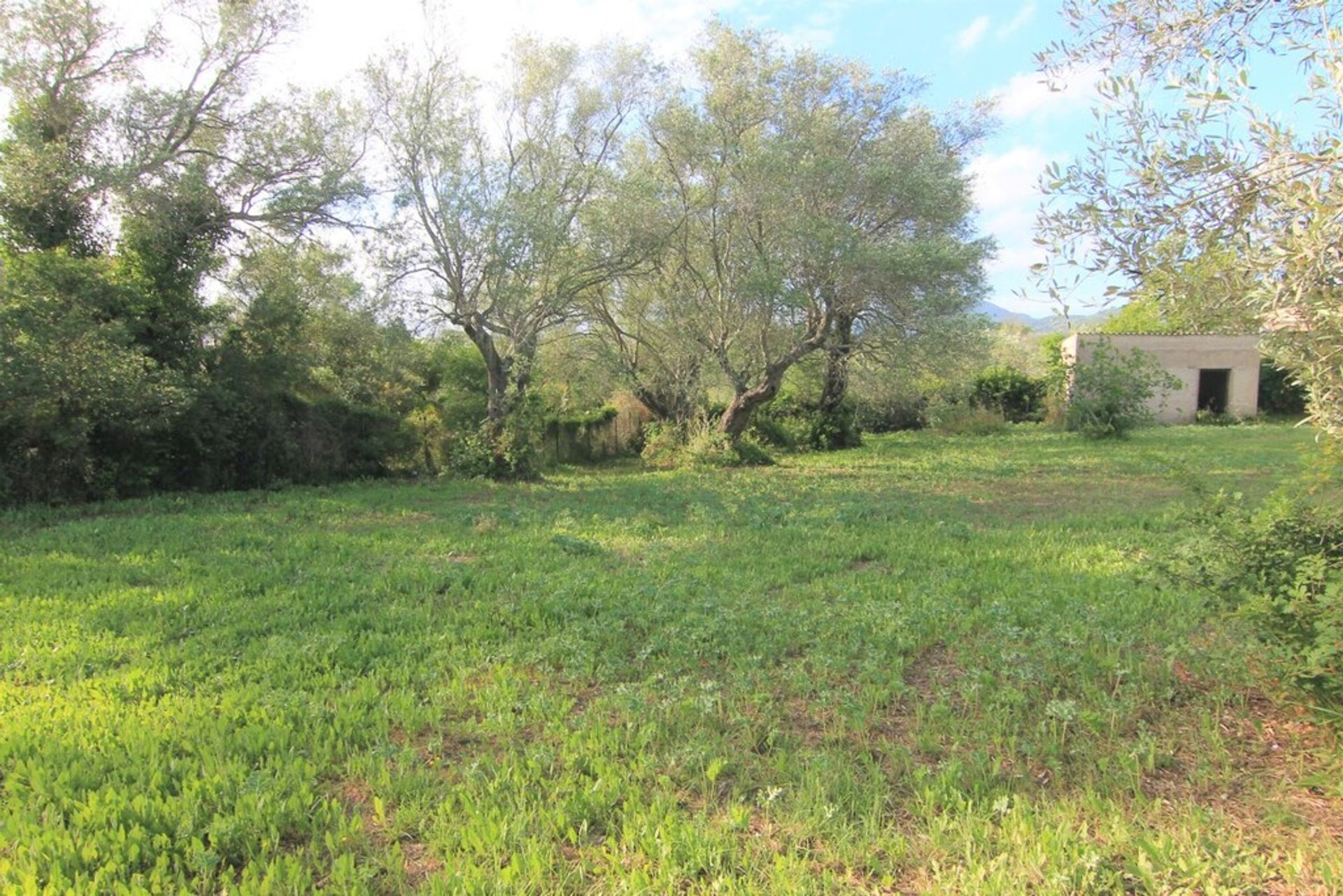 Land im Stavros, Ionia Nisia 10795281