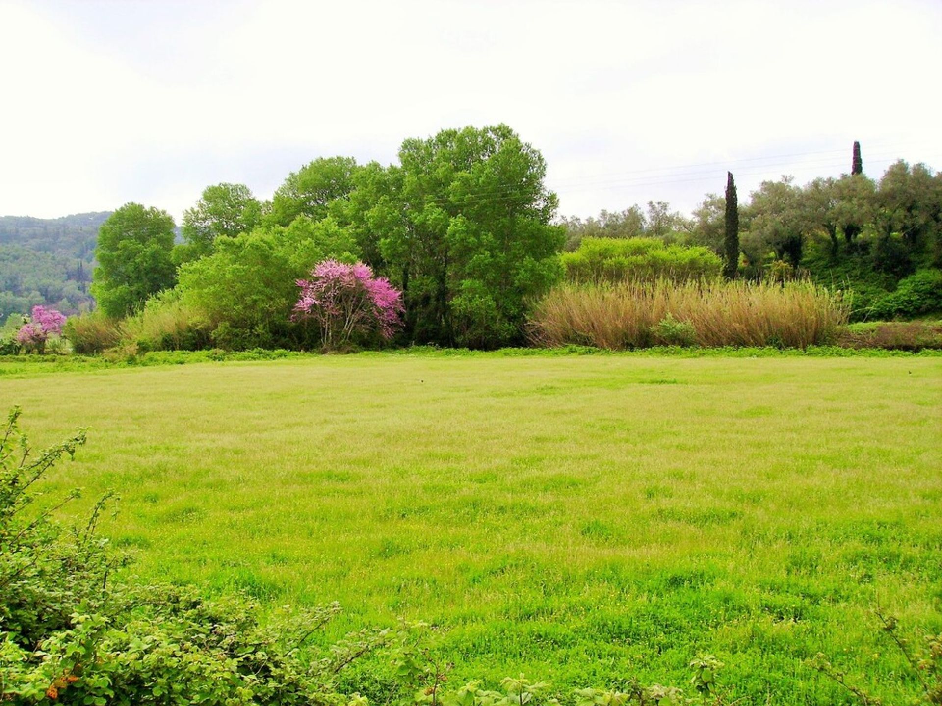 Tierra en Peroulades, Jonia Nisia 10795366