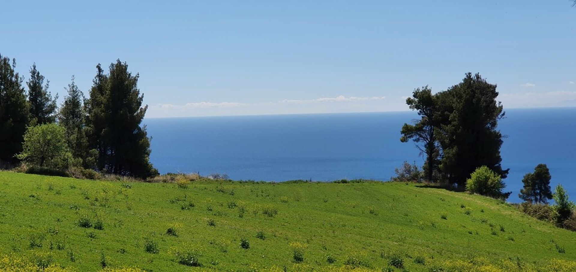 Γη σε Κασσάνδρεια, Κεντρική Μακεδονία 10795376