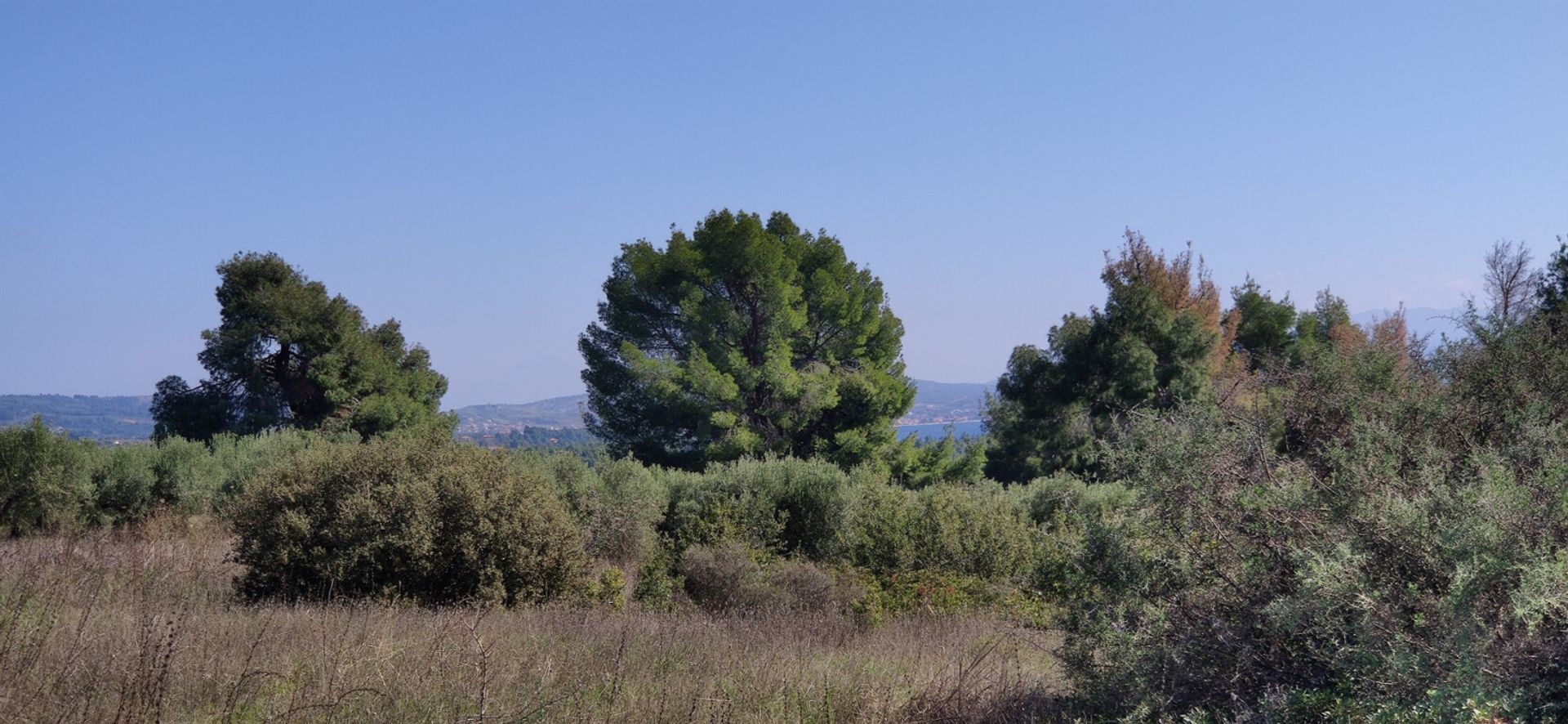 Land in Metamorfosi,  10795520