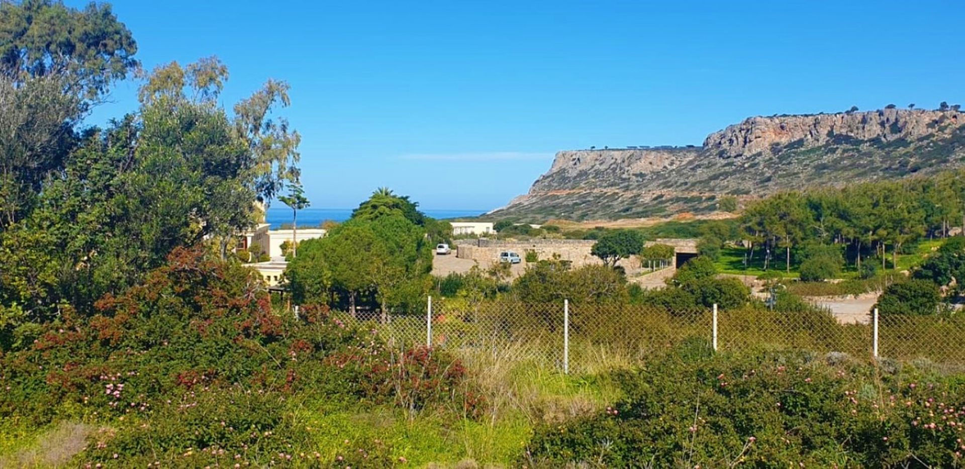 Land in Malia, Kriti 10795524