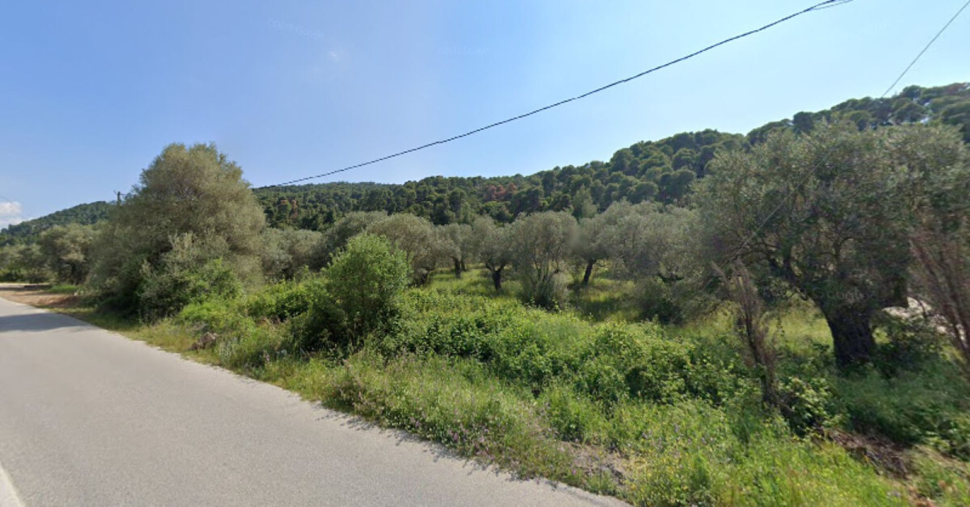 Land in Nikiti, Kentriki Makedonia 10795548