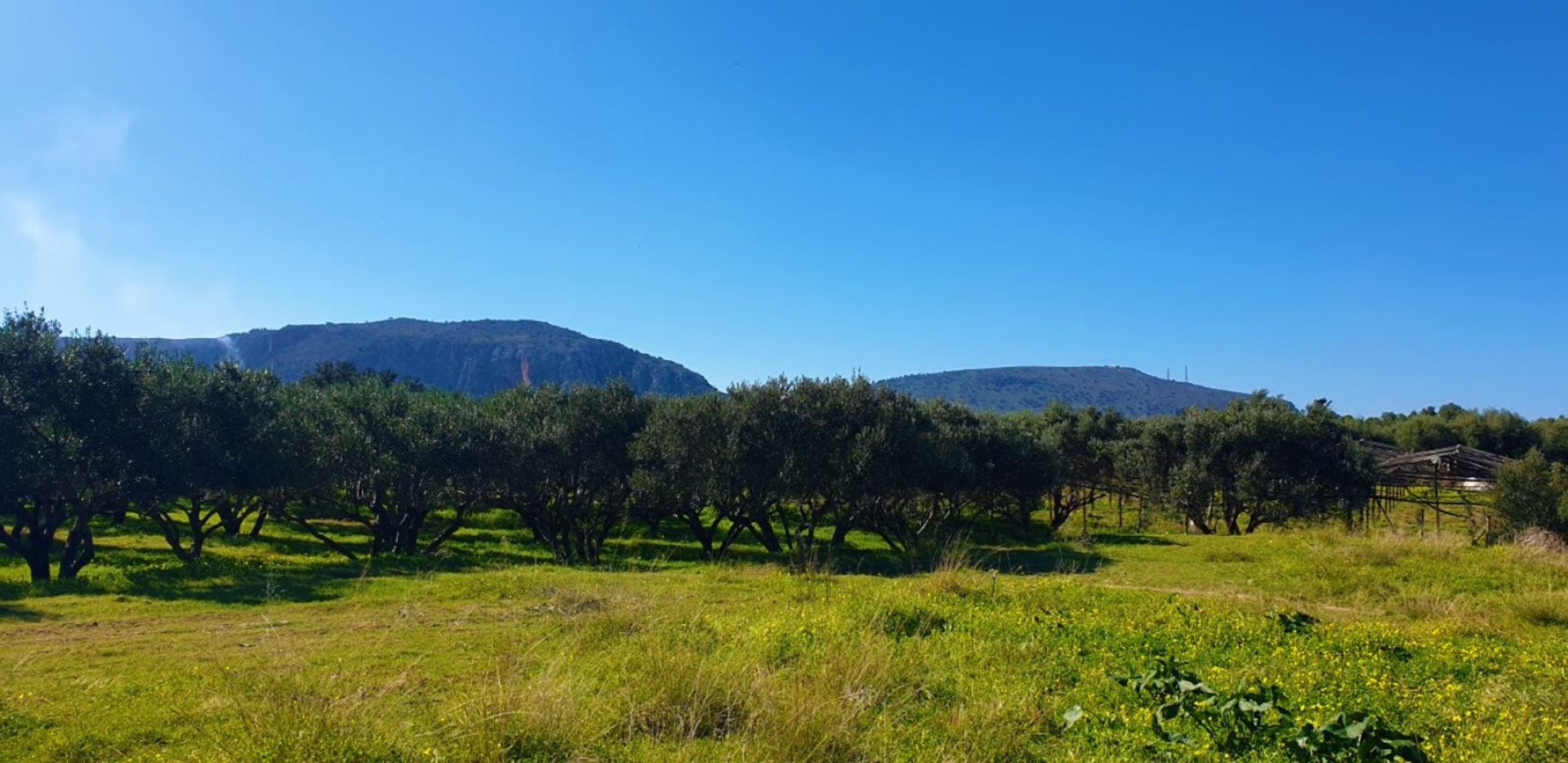 Land in Chersonissos, Kriti 10795595