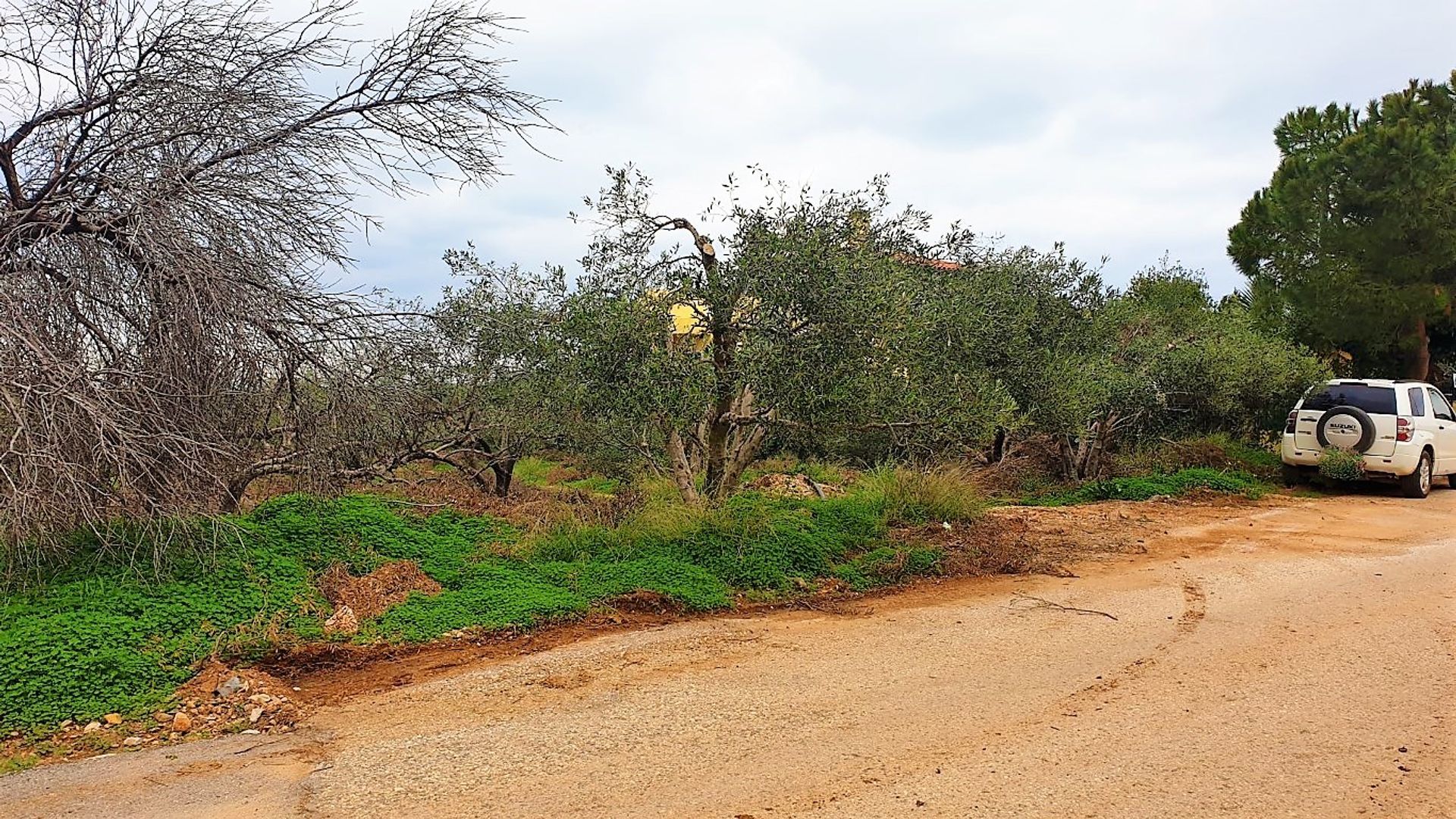 ארץ ב חרסוניסוס, קריטי 10795840