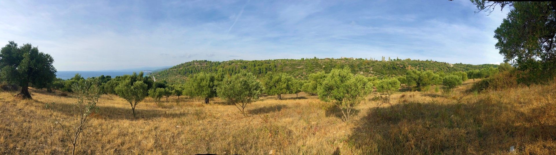 Terre dans Néos Marmaras, Kentriki Macédoine 10795947