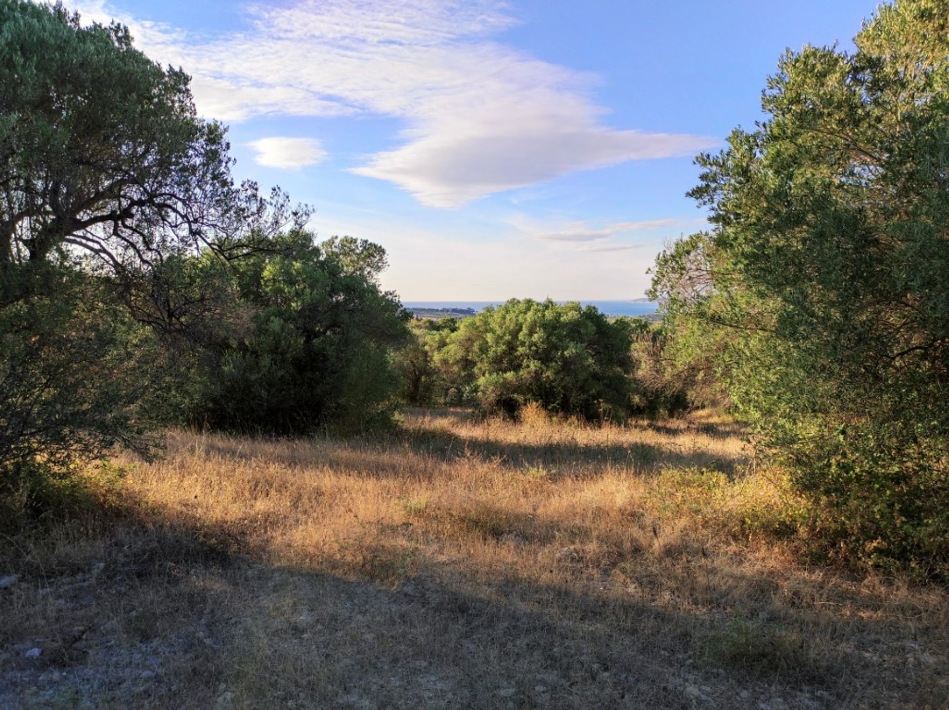 Terre dans Kassandréia, Kentriki Macédoine 10796081