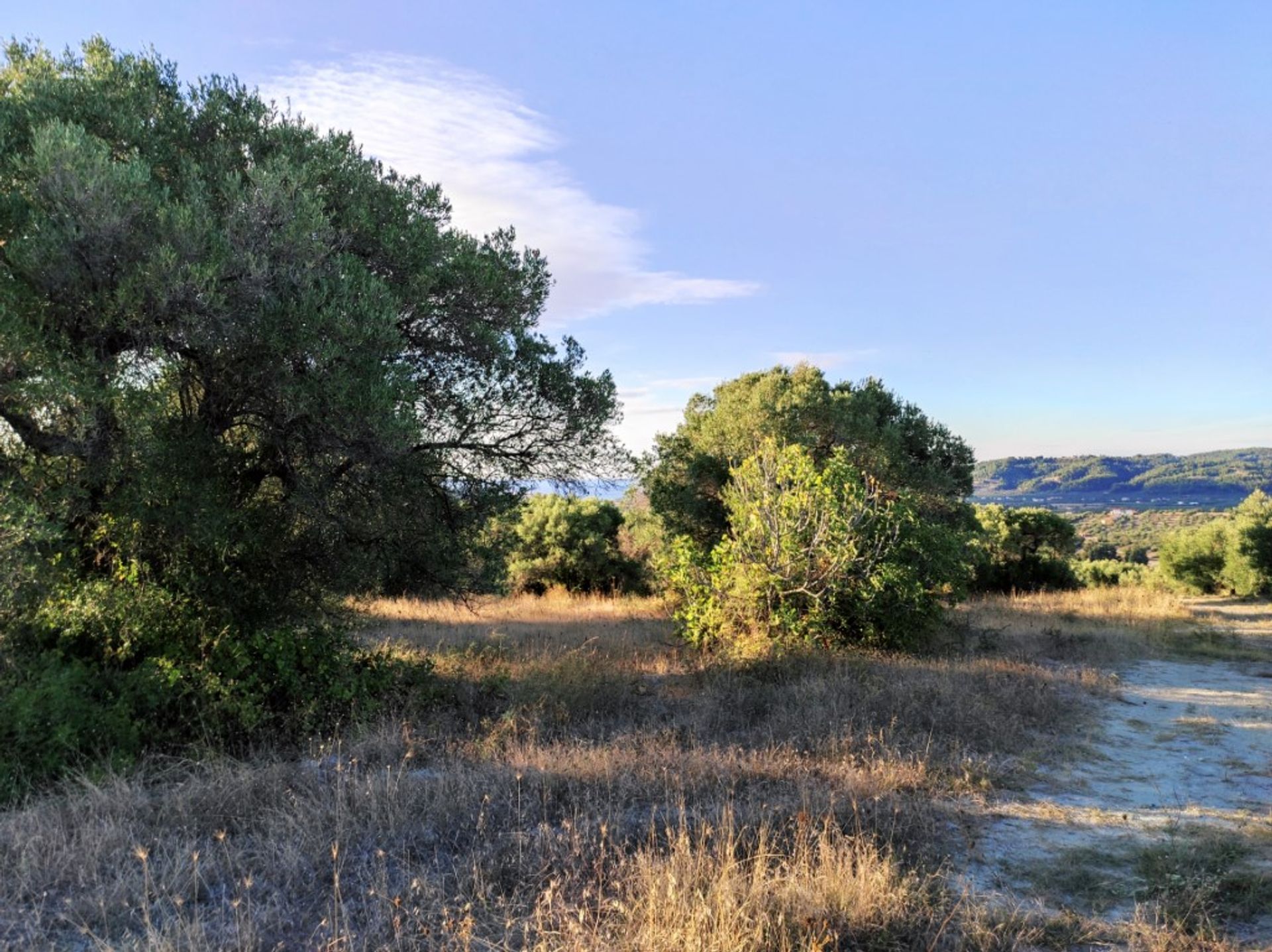 Terre dans Kassandréia, Kentriki Macédoine 10796081