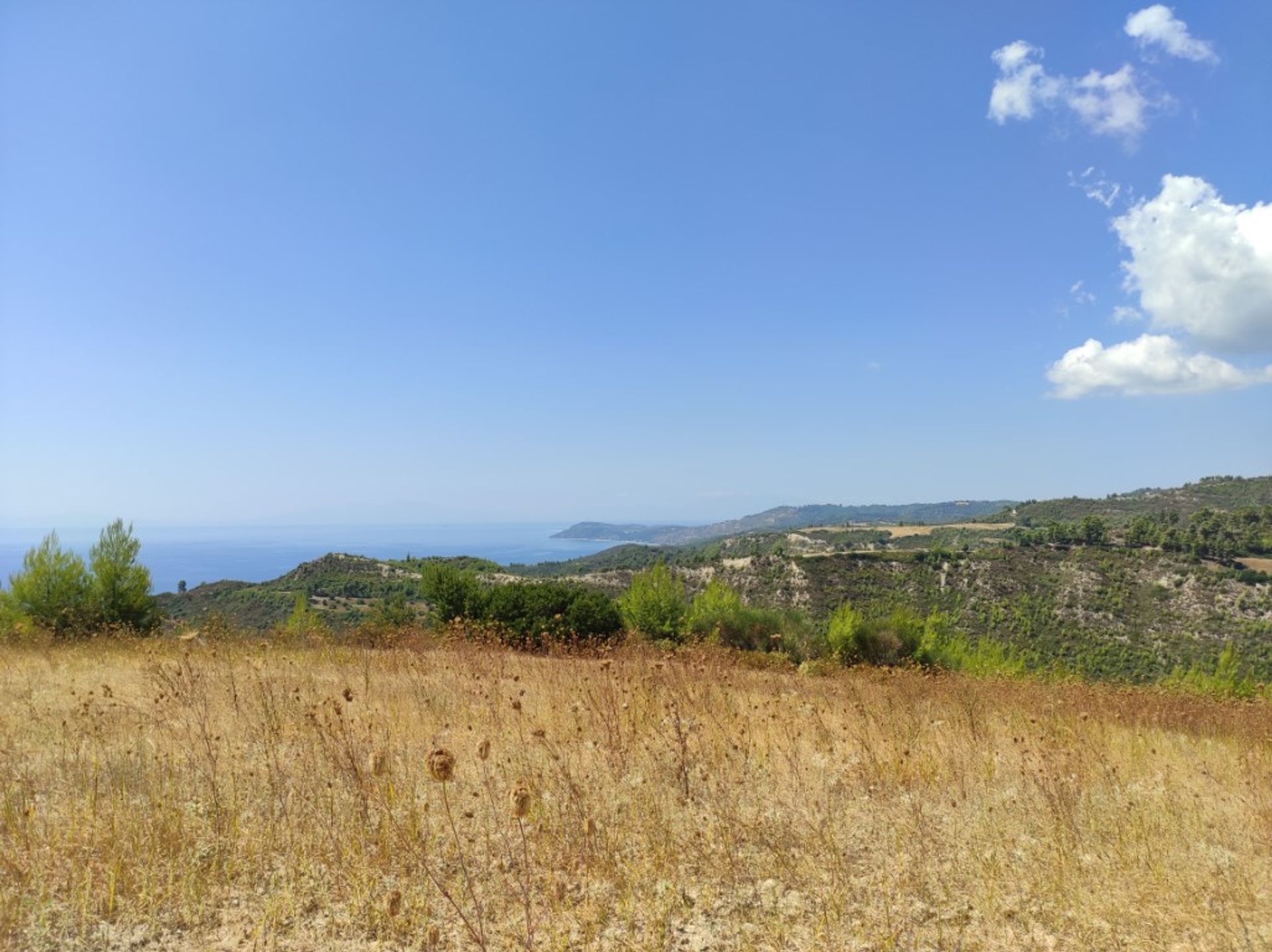 Land in Kassandreia, Kentriki Makedonia 10796275