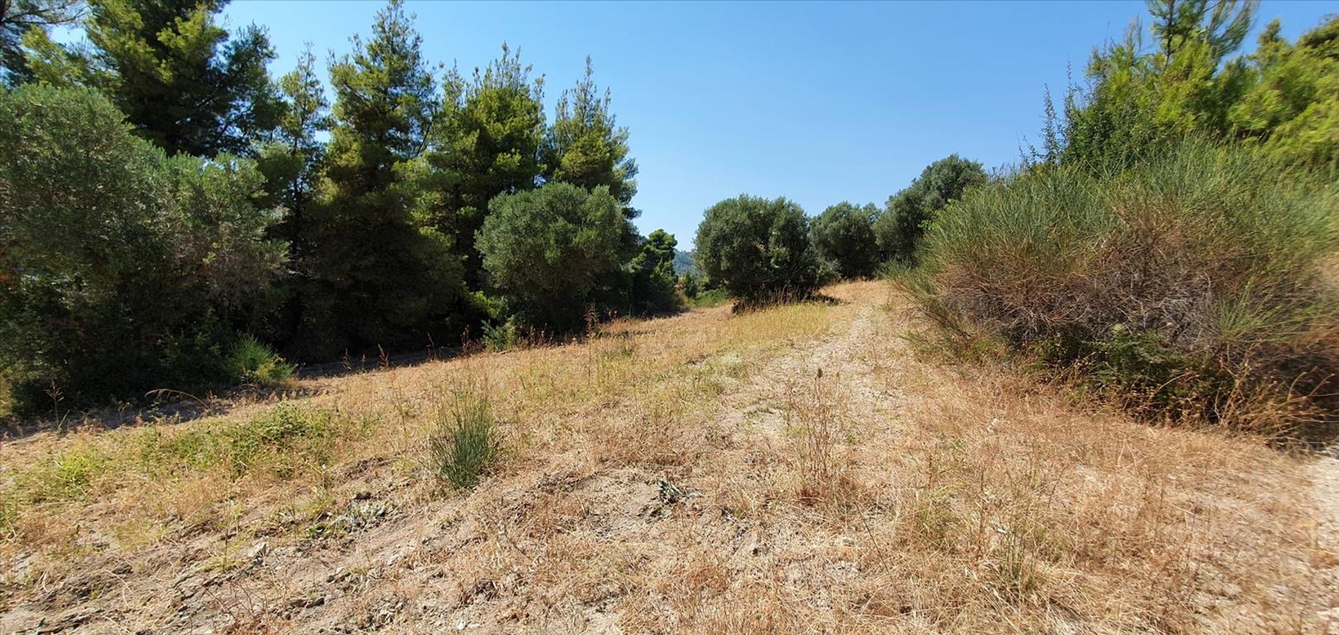 Land in Kassandreia, Kentriki Makedonia 10796324