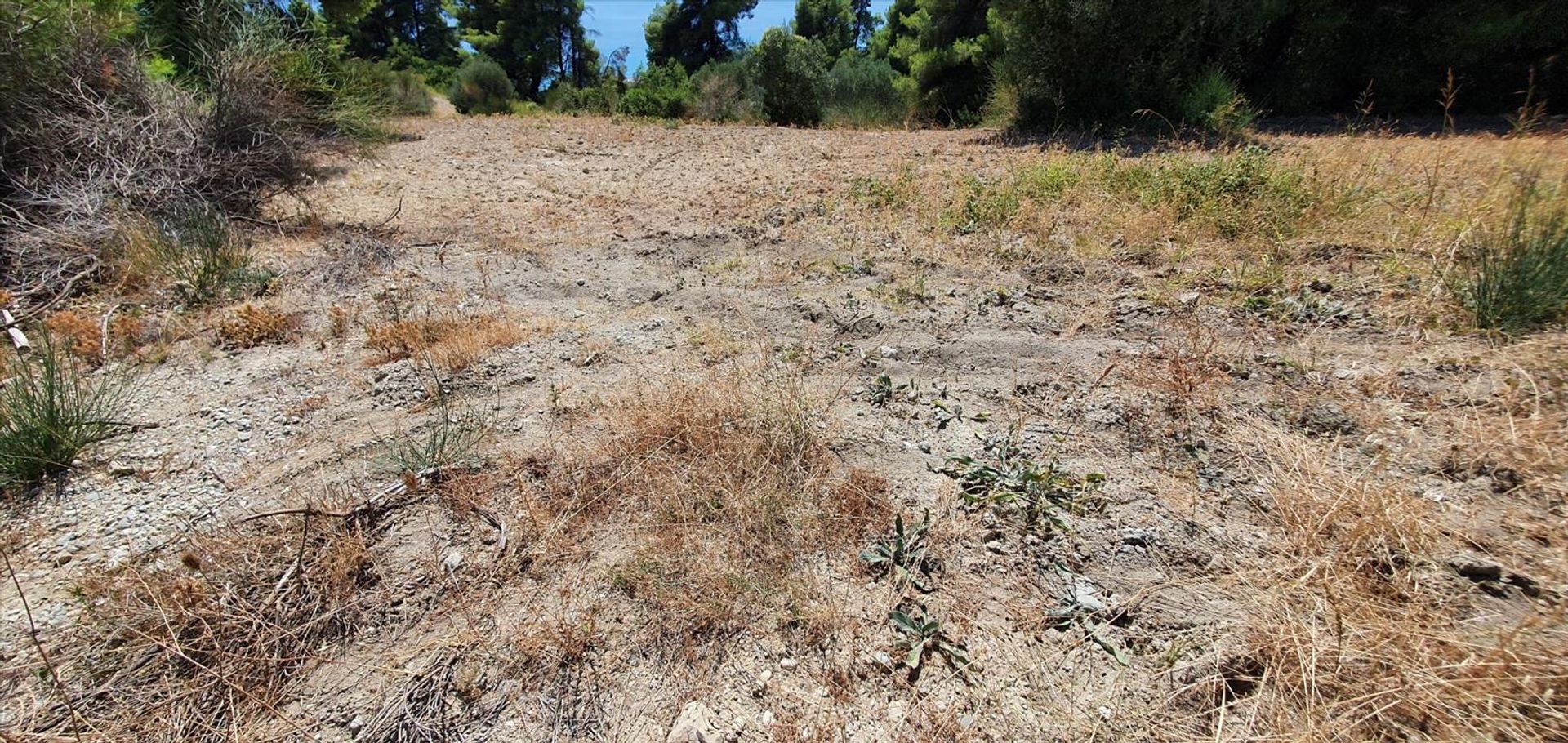 Land in Kassandreia, Kentriki Makedonia 10796324