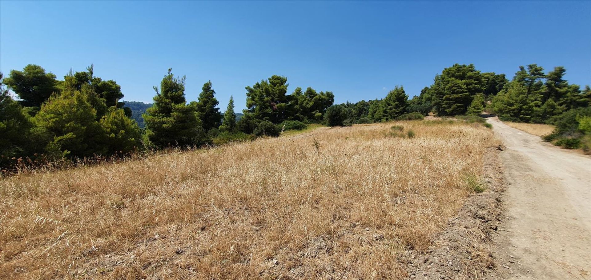 Land in Kassandreia, Kentriki Makedonia 10796324