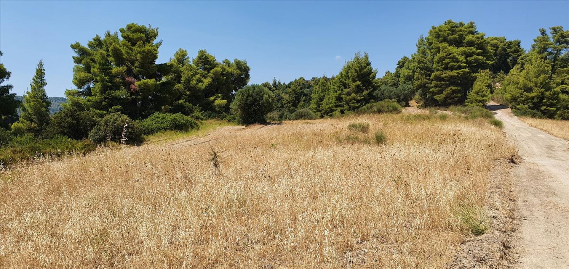 Land in Kassandreia, Kentriki Makedonia 10796324